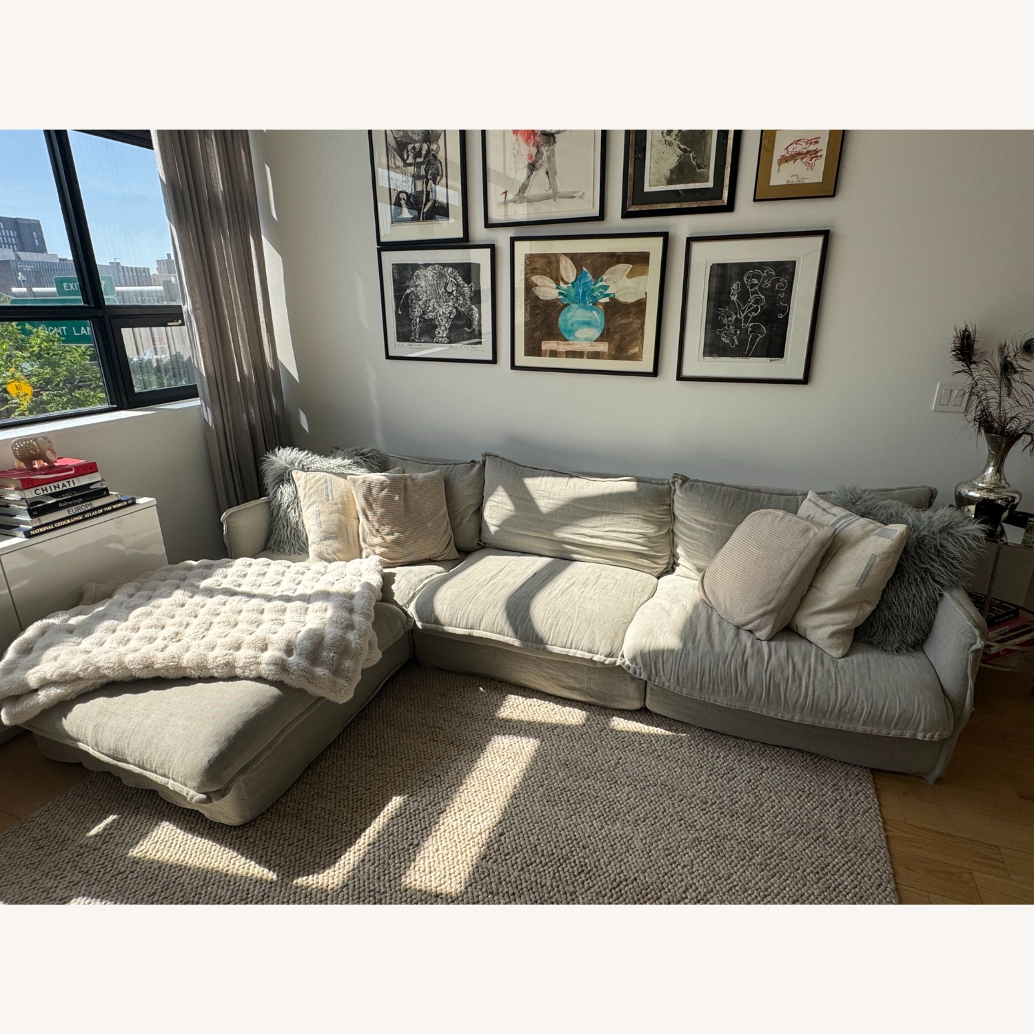 Neva Chaise Sectional Sofa - image-3