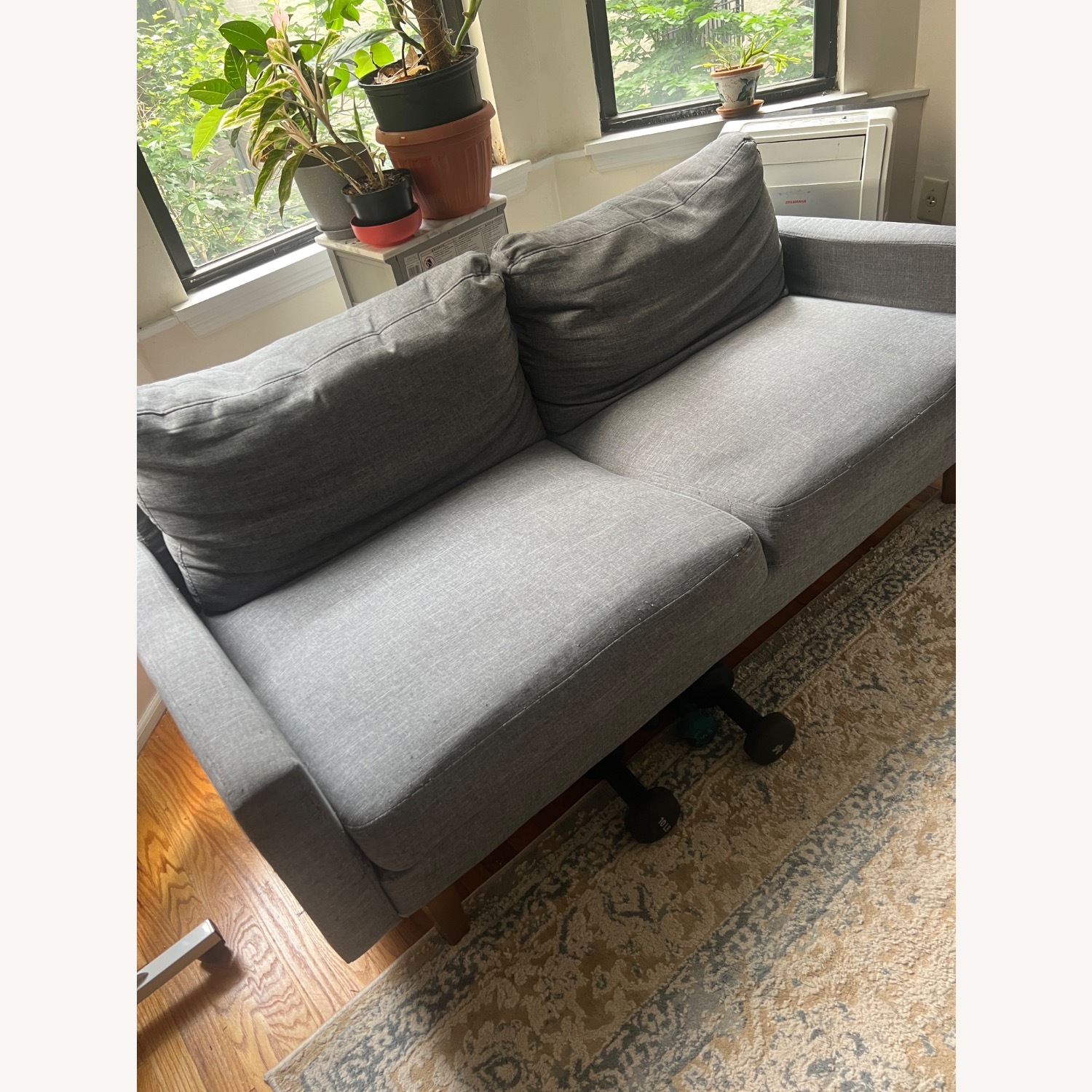 Wayfair Blue 2-seater Couch - image-1