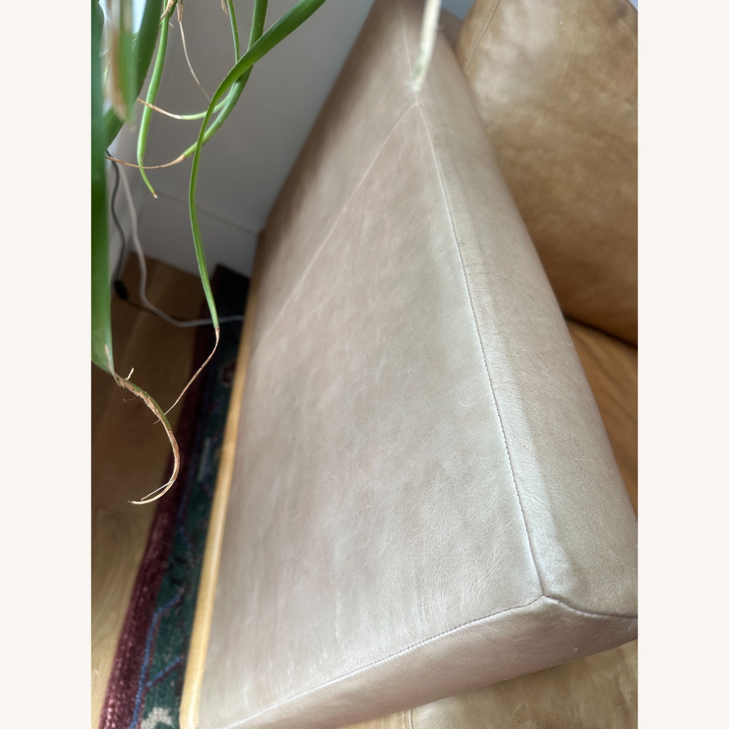 Poly & Bark Nolita Couch - Aniline Italian Leather - image-7