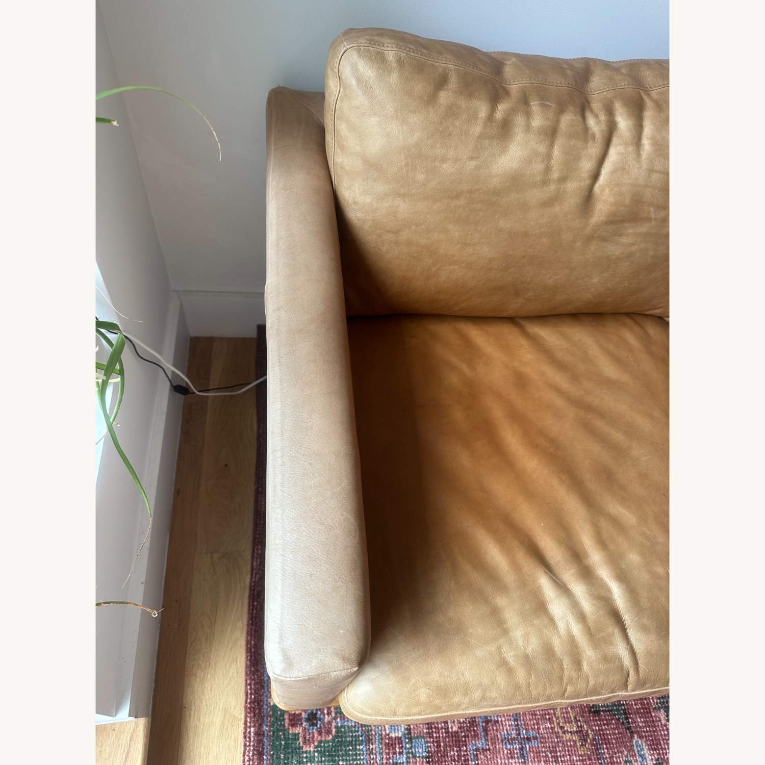 Poly & Bark Nolita Couch - Aniline Italian Leather - image-3