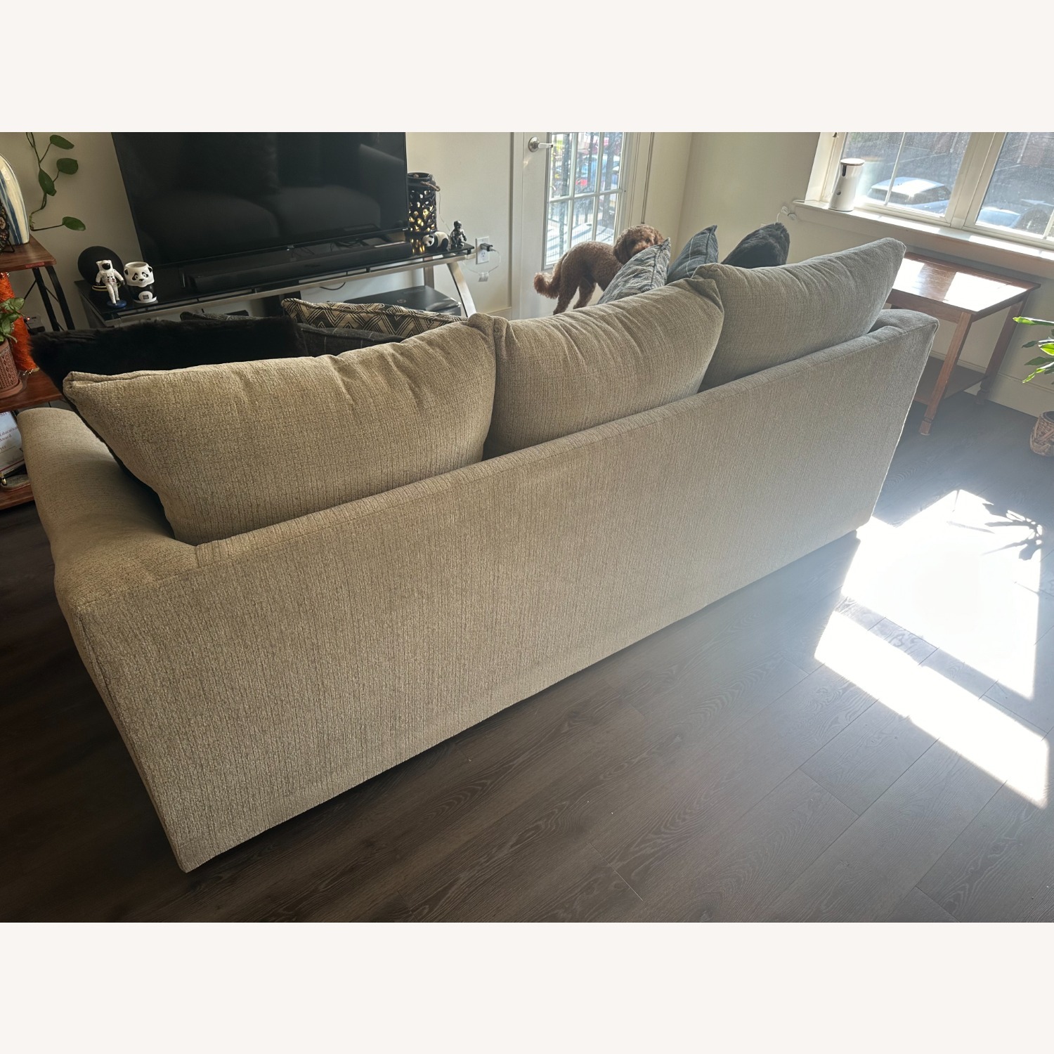 Raymour & Flanigan Savane Sofa  - image-3