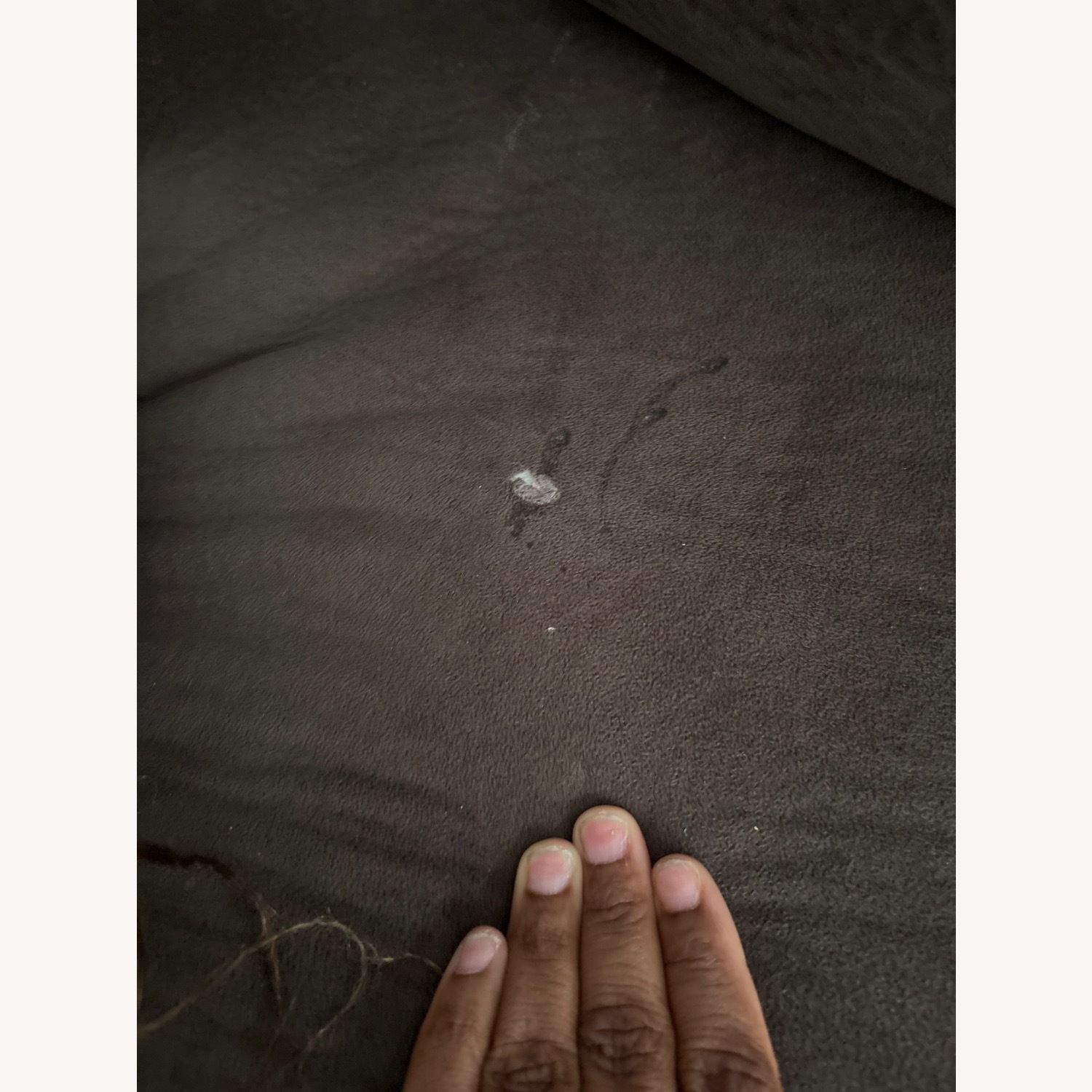 Groovy Chocolate Sectional - image-4