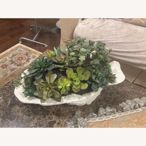 Used Tabletop Succulent Garden in Textured Planter for sale on AptDeco