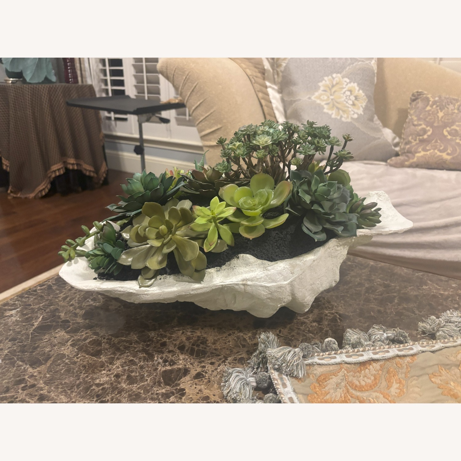 Tabletop Succulent Garden in Textured Planter - image-2
