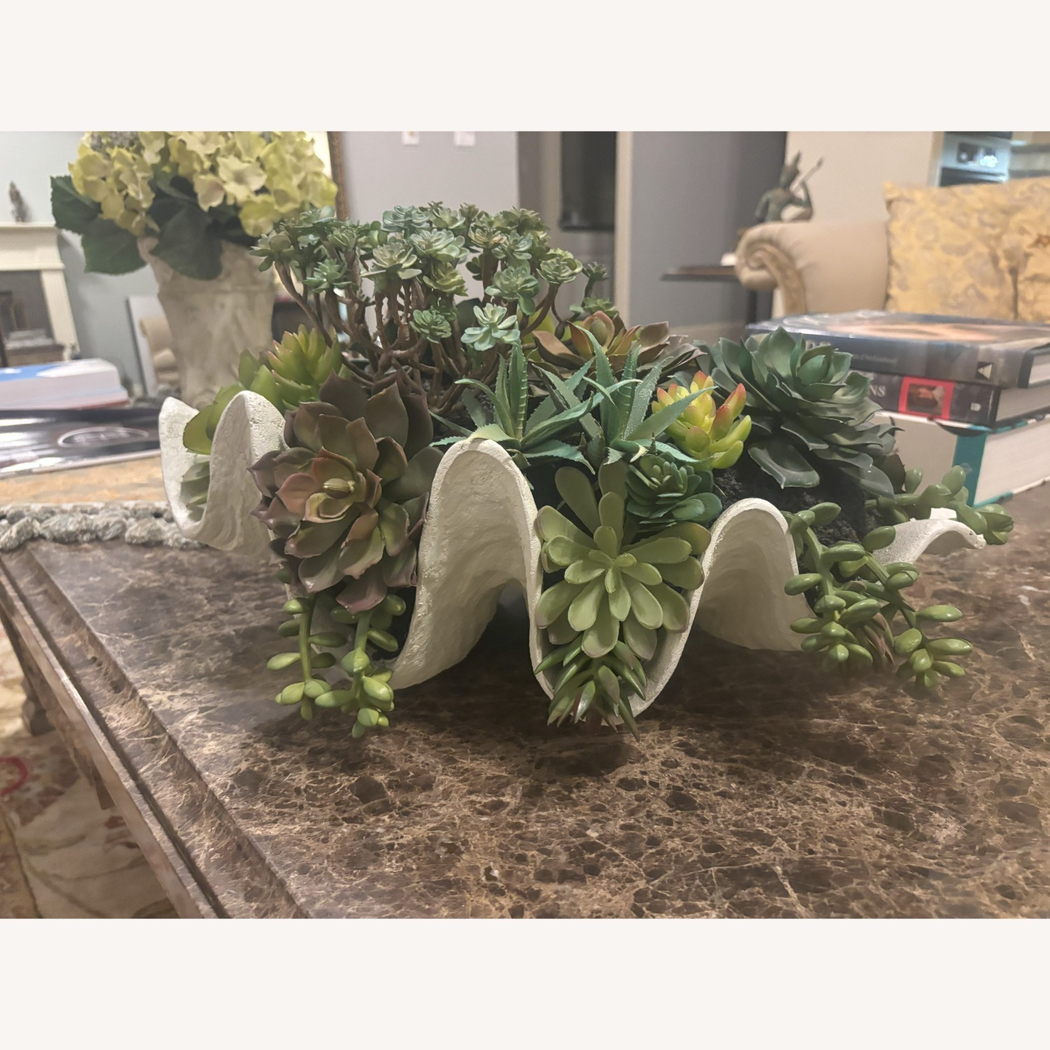 Tabletop Succulent Garden in Textured Planter - image-3