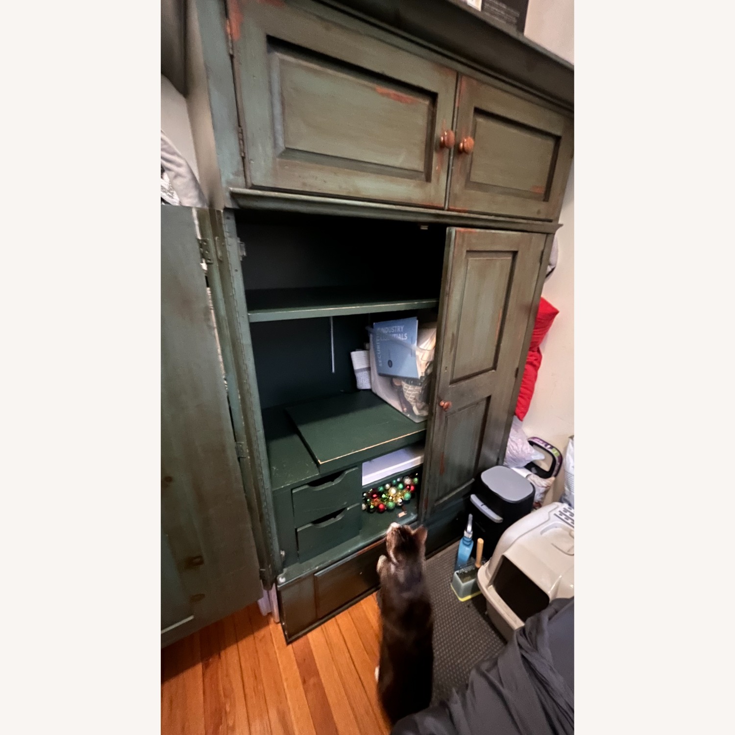 Solid Wood Green Console Armoire - image-1