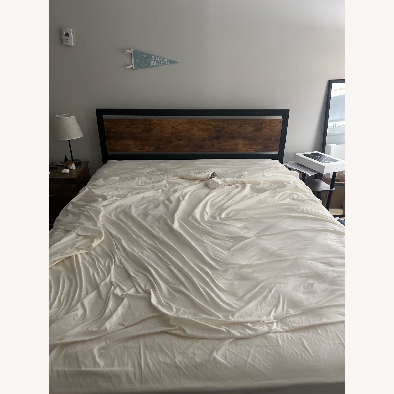 Vintage Brown Jacarla Metal Platform Bed  - image-4