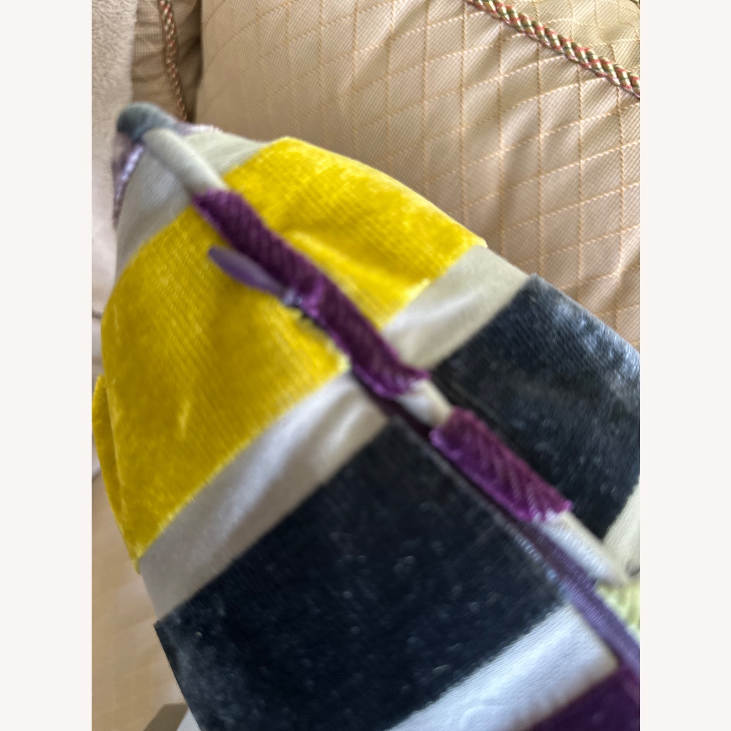 Custom Velvet/Silk 21” Sq Throw Pillows - image-3