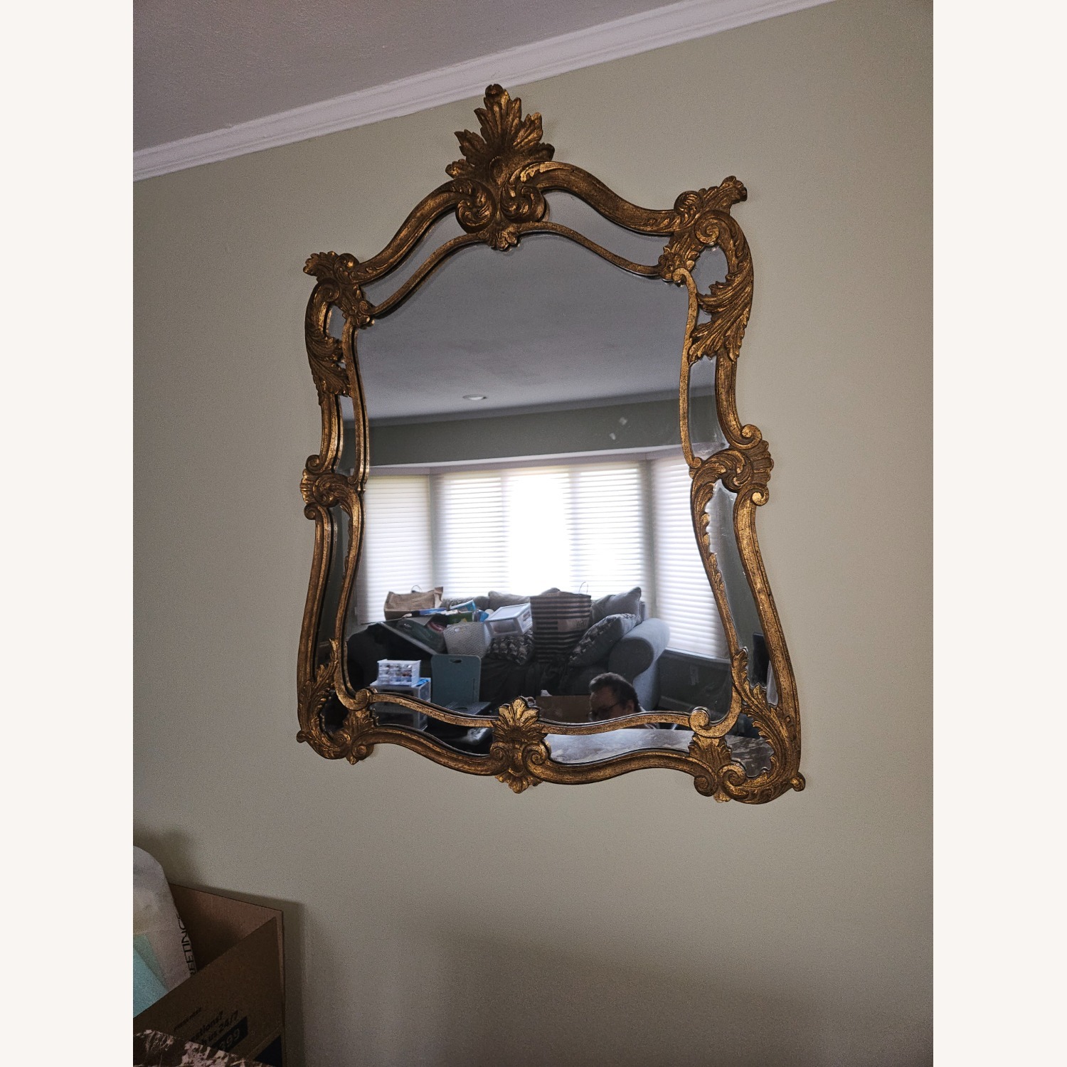 Vintage Louis XV Ornate Mirror - image-1