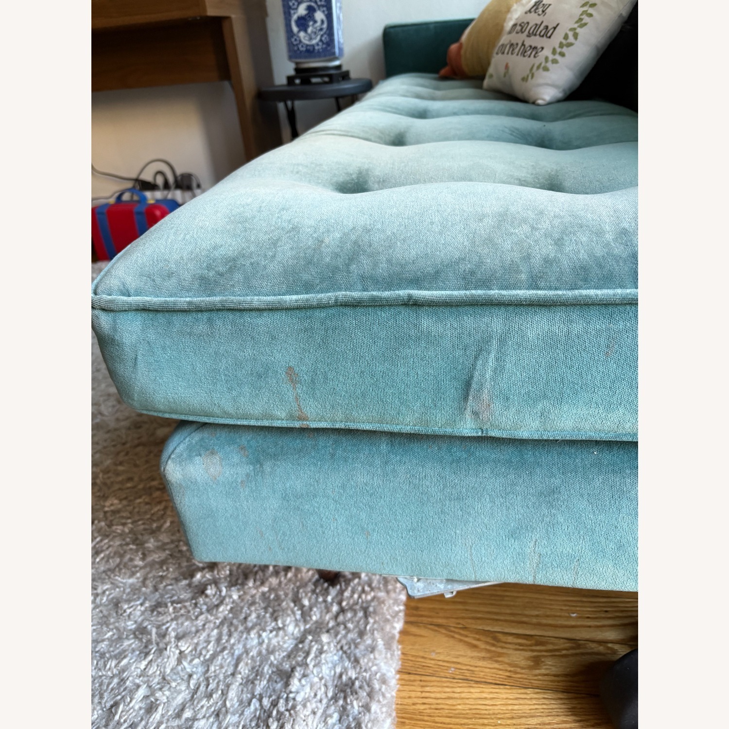 Room & Board Reese Green Velvet Sofa - image-6