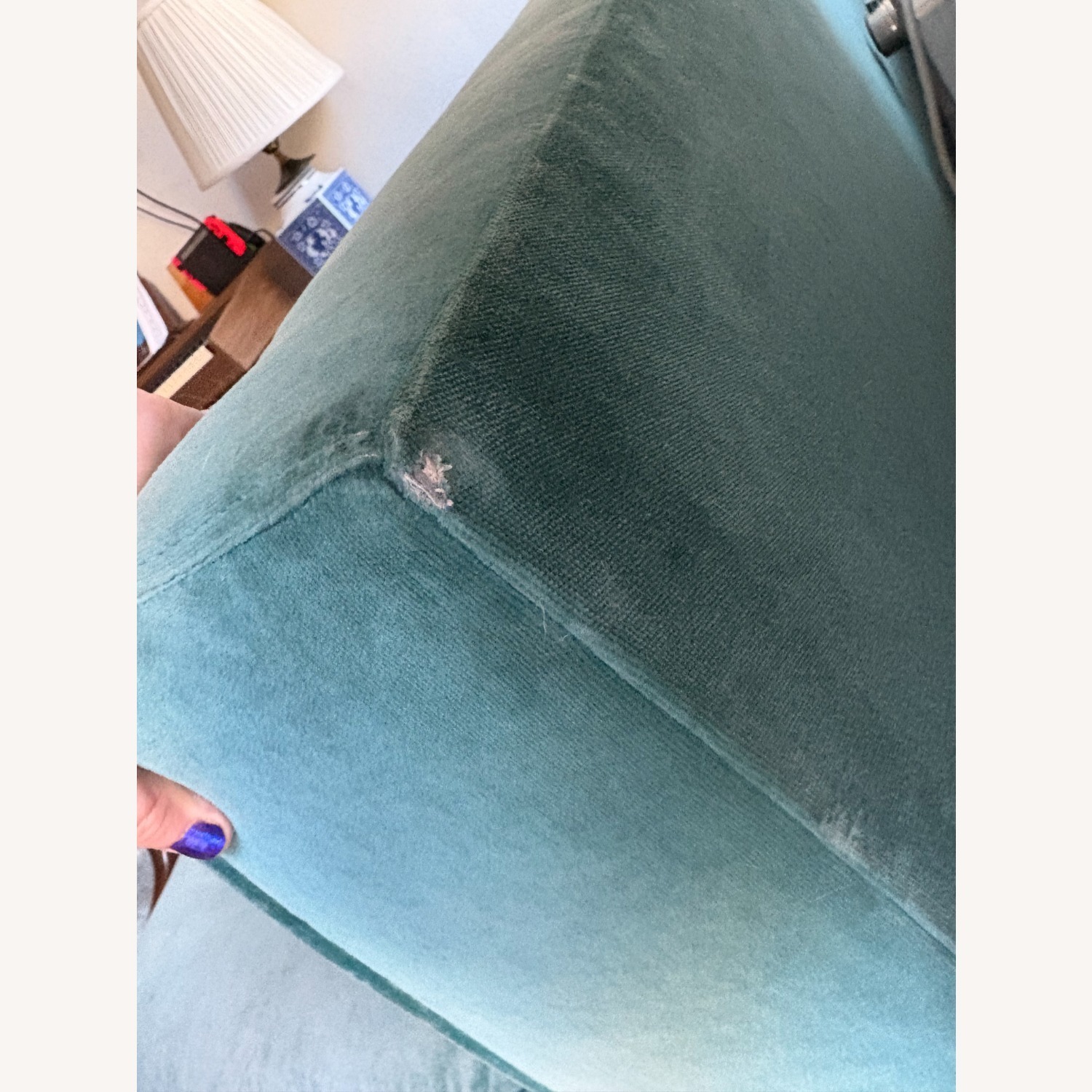 Room & Board Reese Green Velvet Sofa - image-4