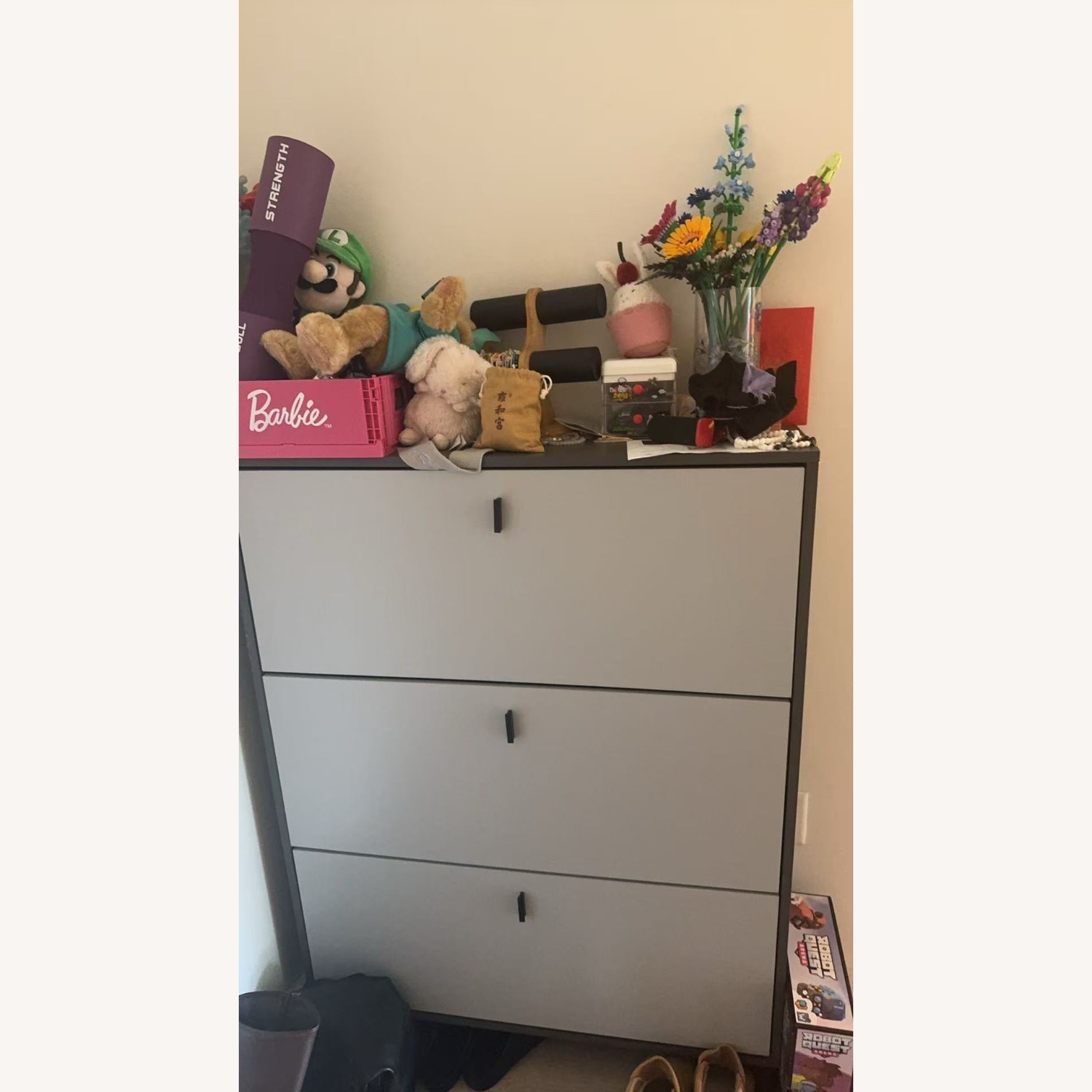 24 Pair Shoe Storage Cabinet - image-1