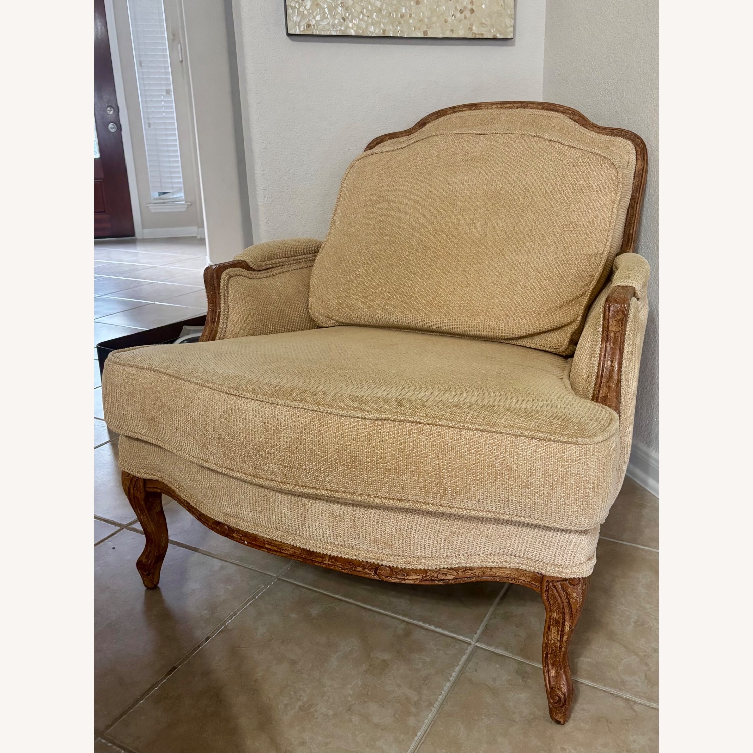 Chenille Bergere Arm Chair & Ottoman  - image-2