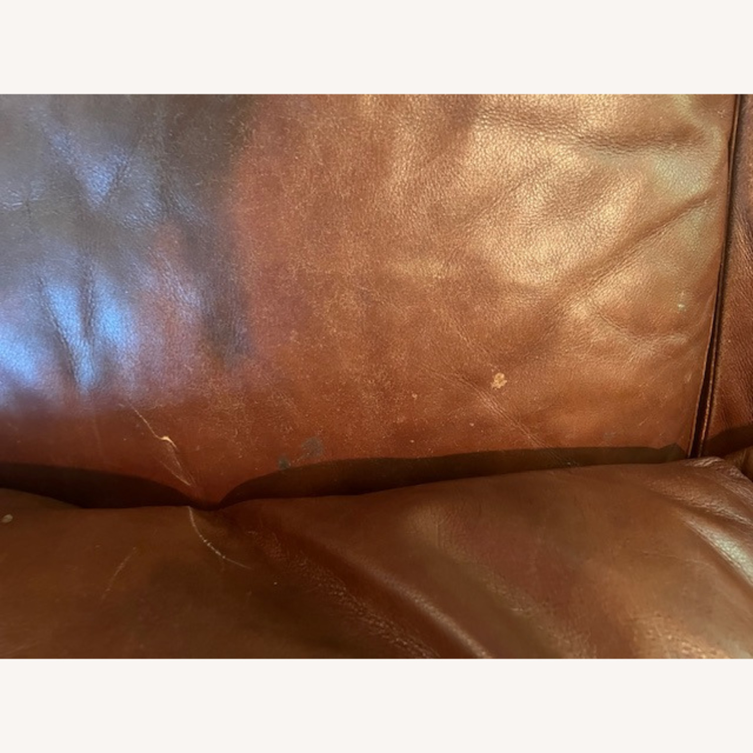 Comty Leather Sofa with Nailheads - image-3