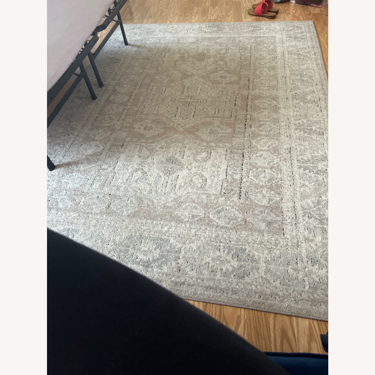 Persian Style Homegoods Rug  - image-3