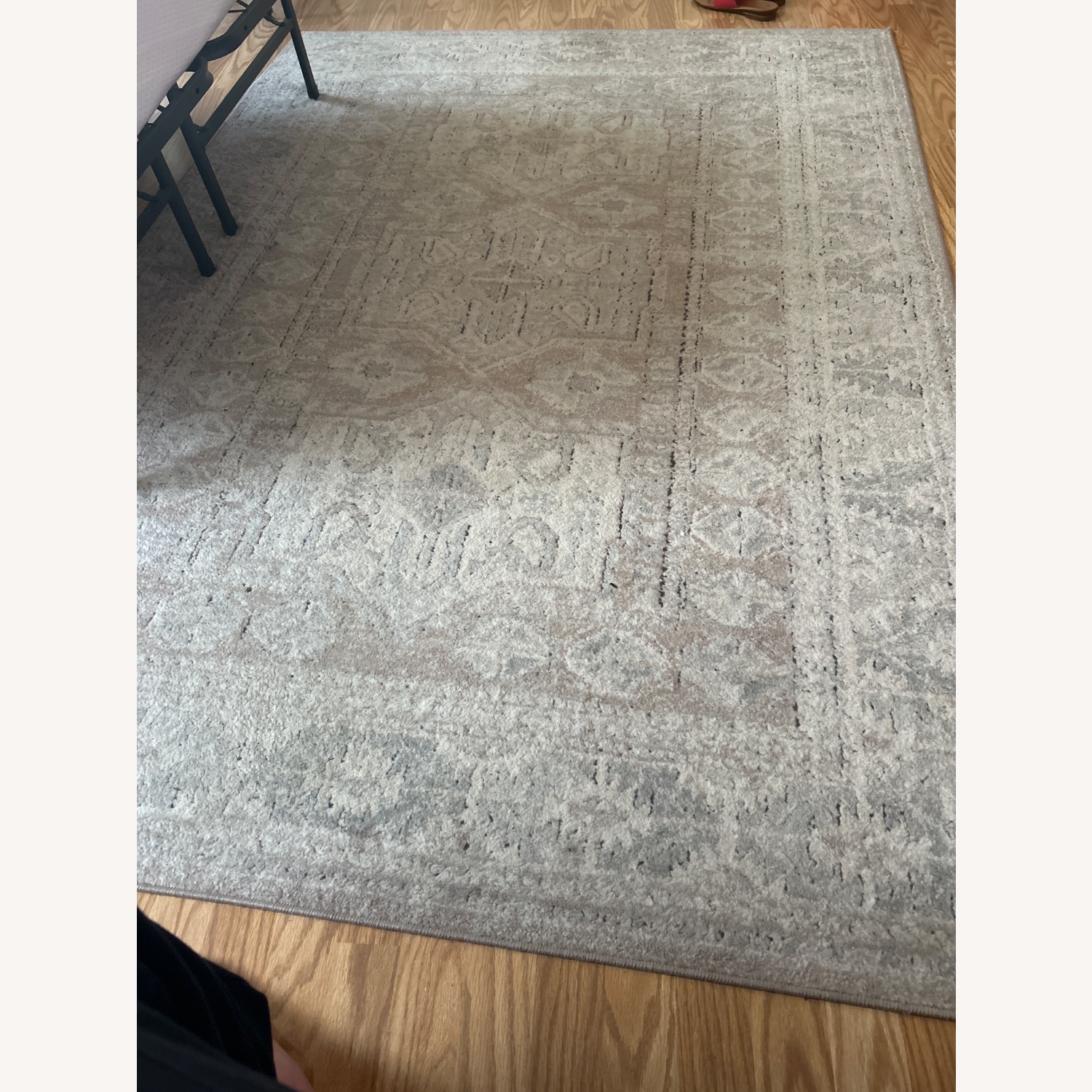Persian Style Homegoods Rug  - image-2