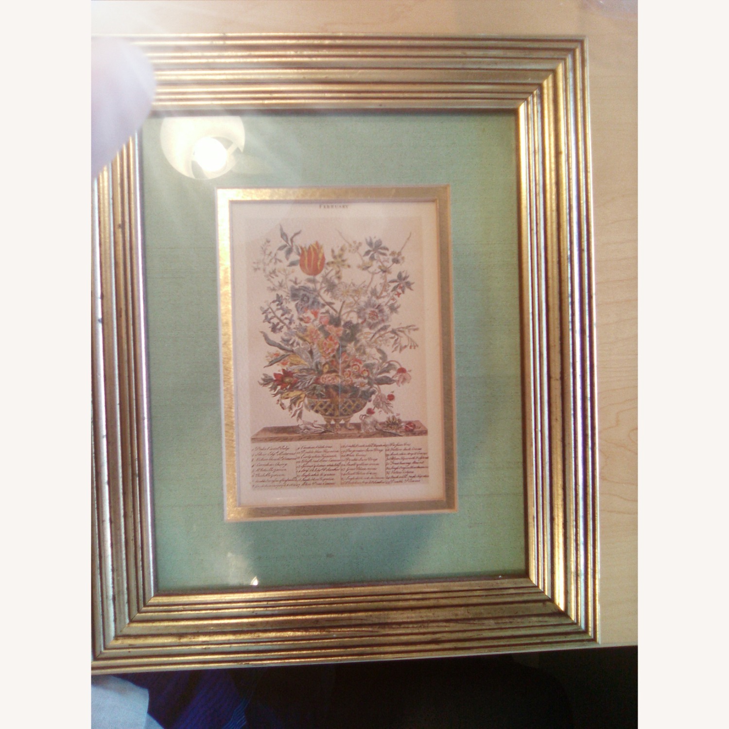 Picture of Roses  - image-1