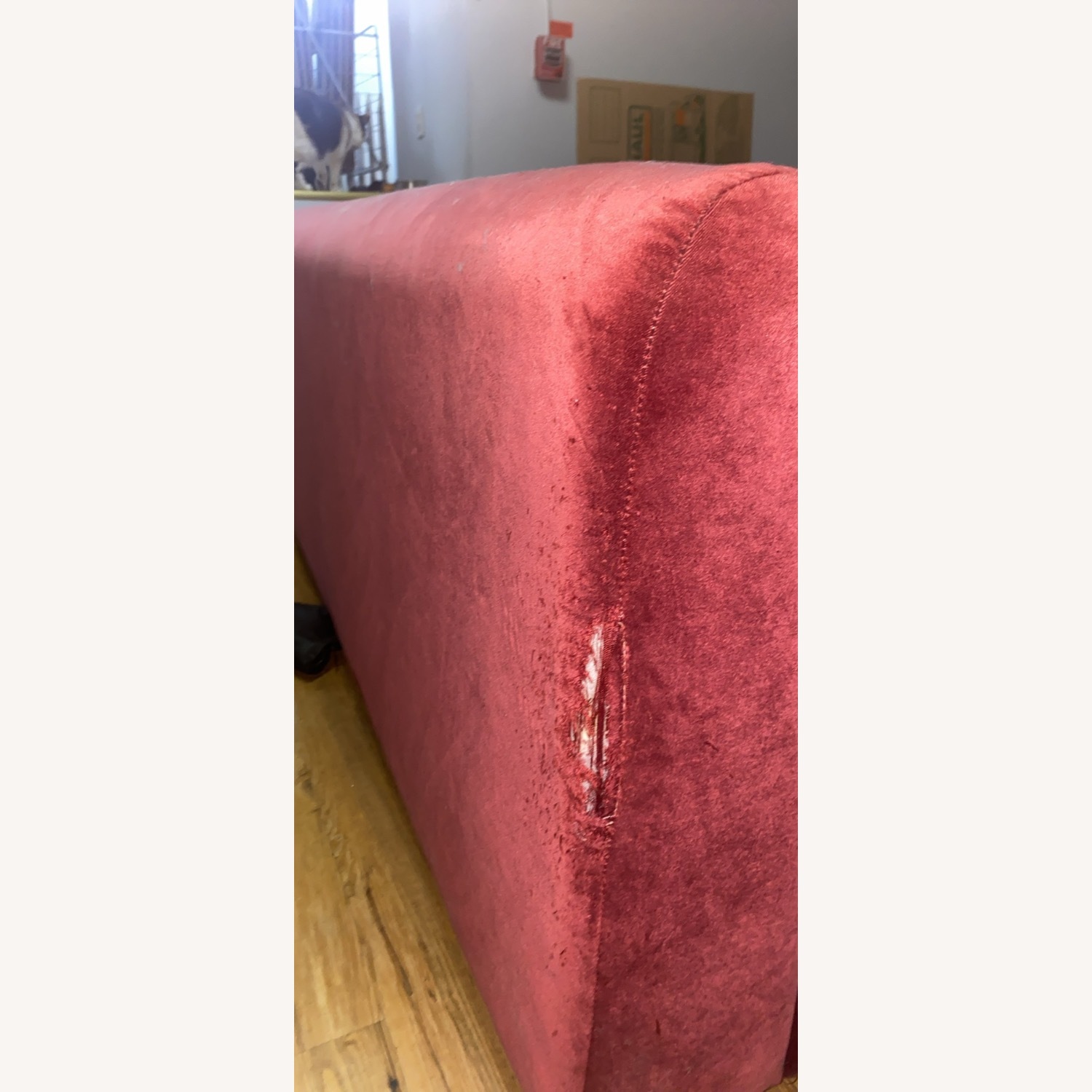 Joybird Red Velvet Carin Sectional  - image-4