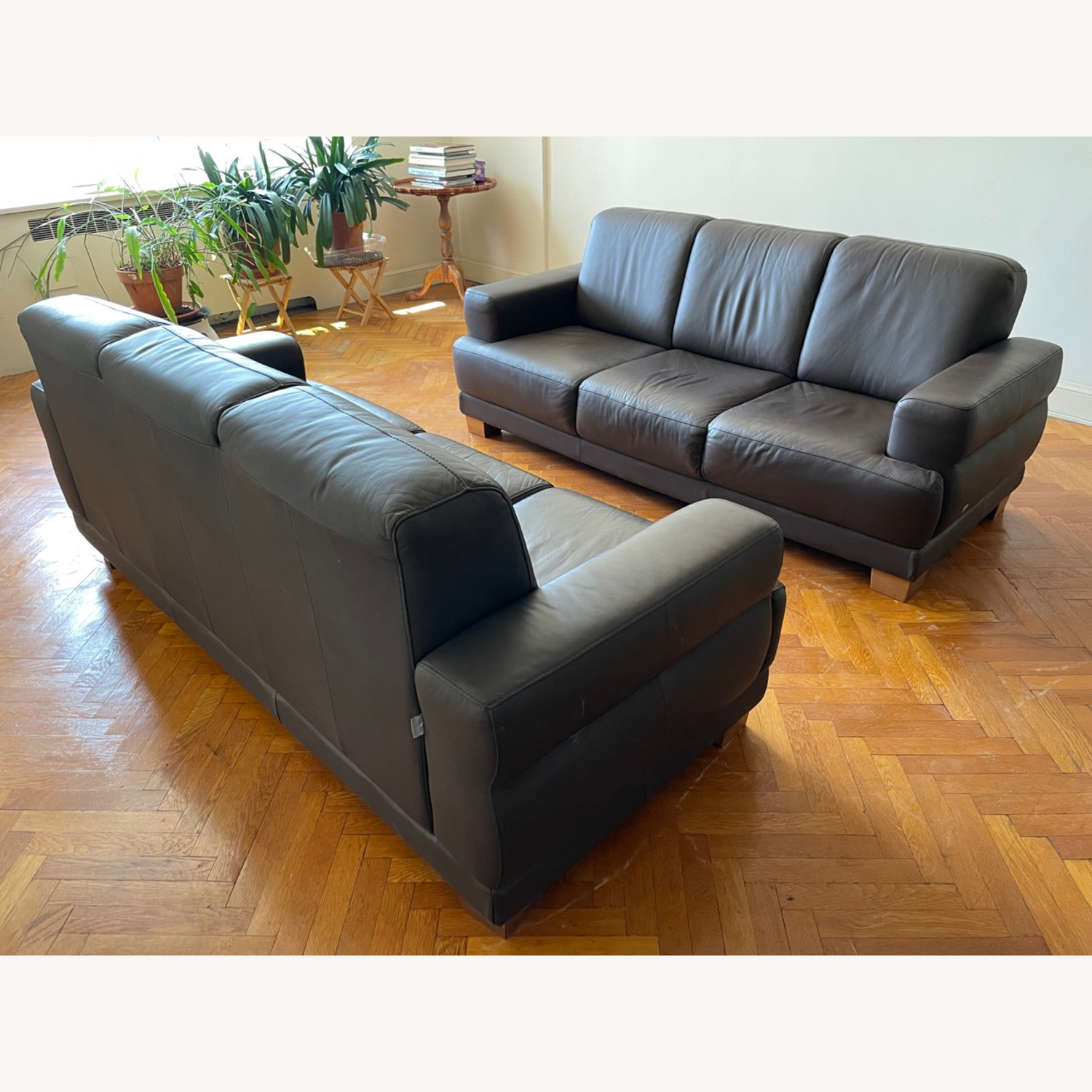 Doimo Salotti Leather Couches - image-1