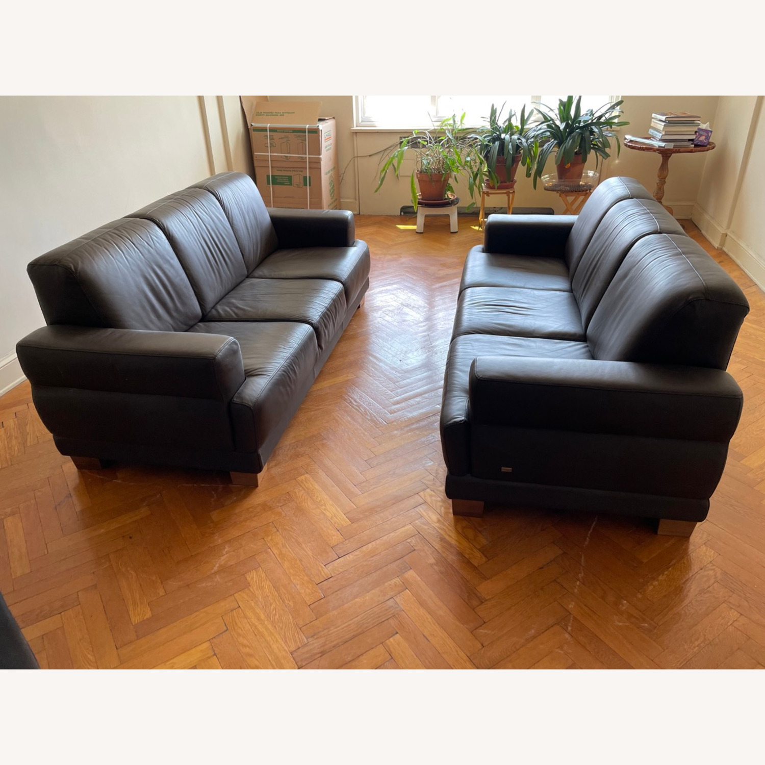 Doimo Salotti Leather Couches - image-0