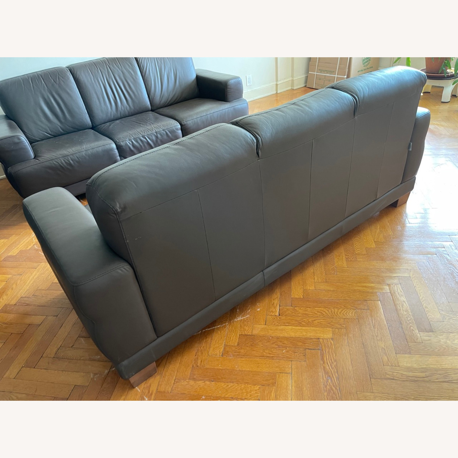 Doimo Salotti Leather Couches - image-2