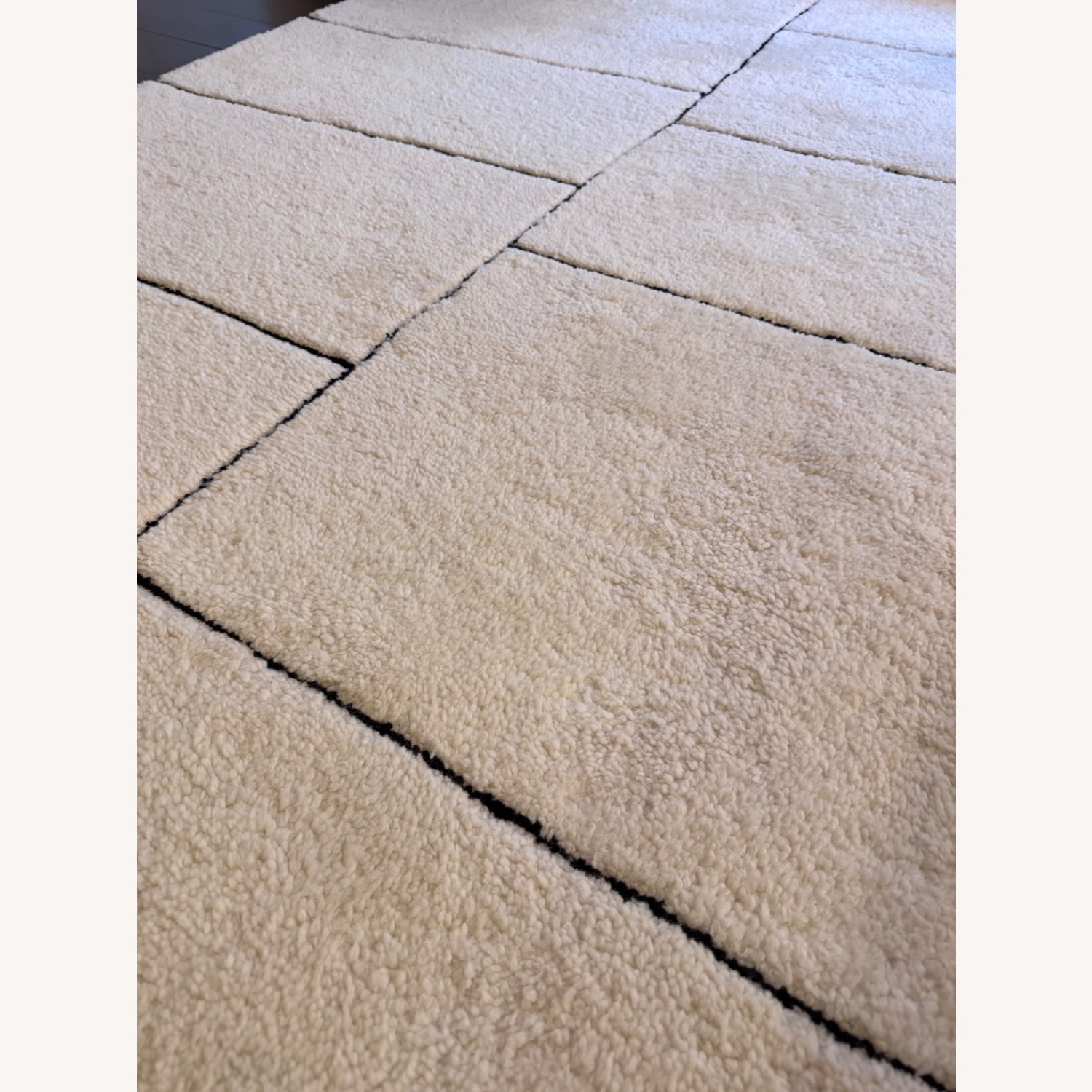 Caely Portobello Hand Made Rug 9X12 - image-5