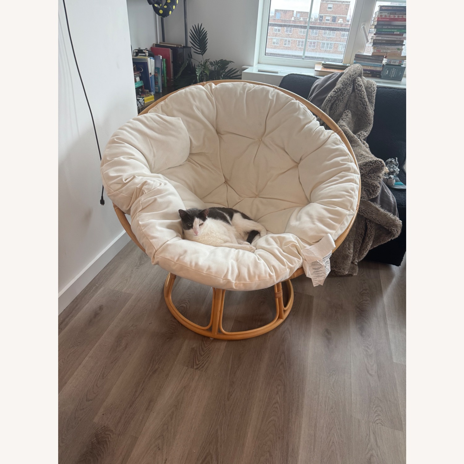 Pottery Barn Teen Papisan Lounger - image-2