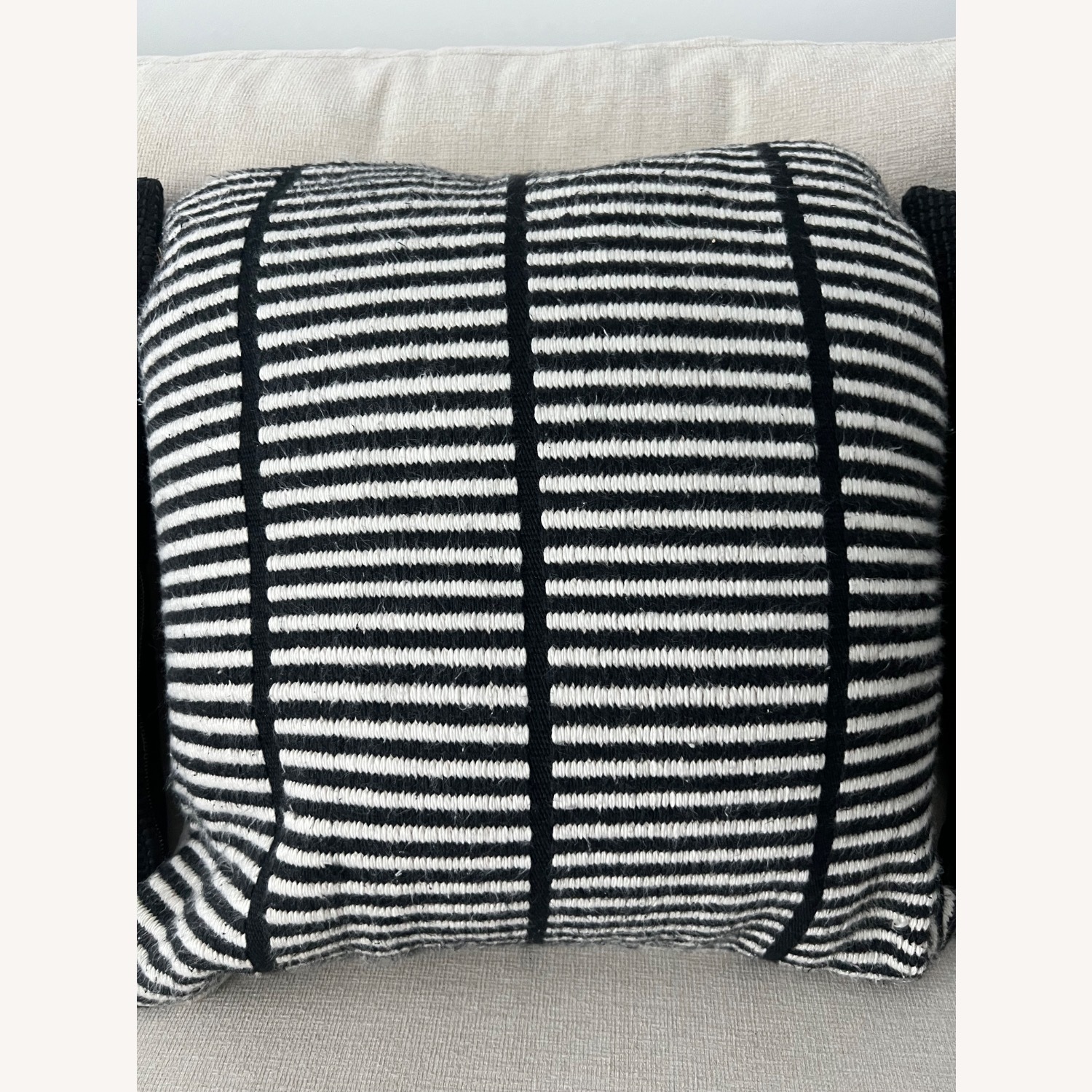 CB2 Black / White Decorative Pillows - image-5