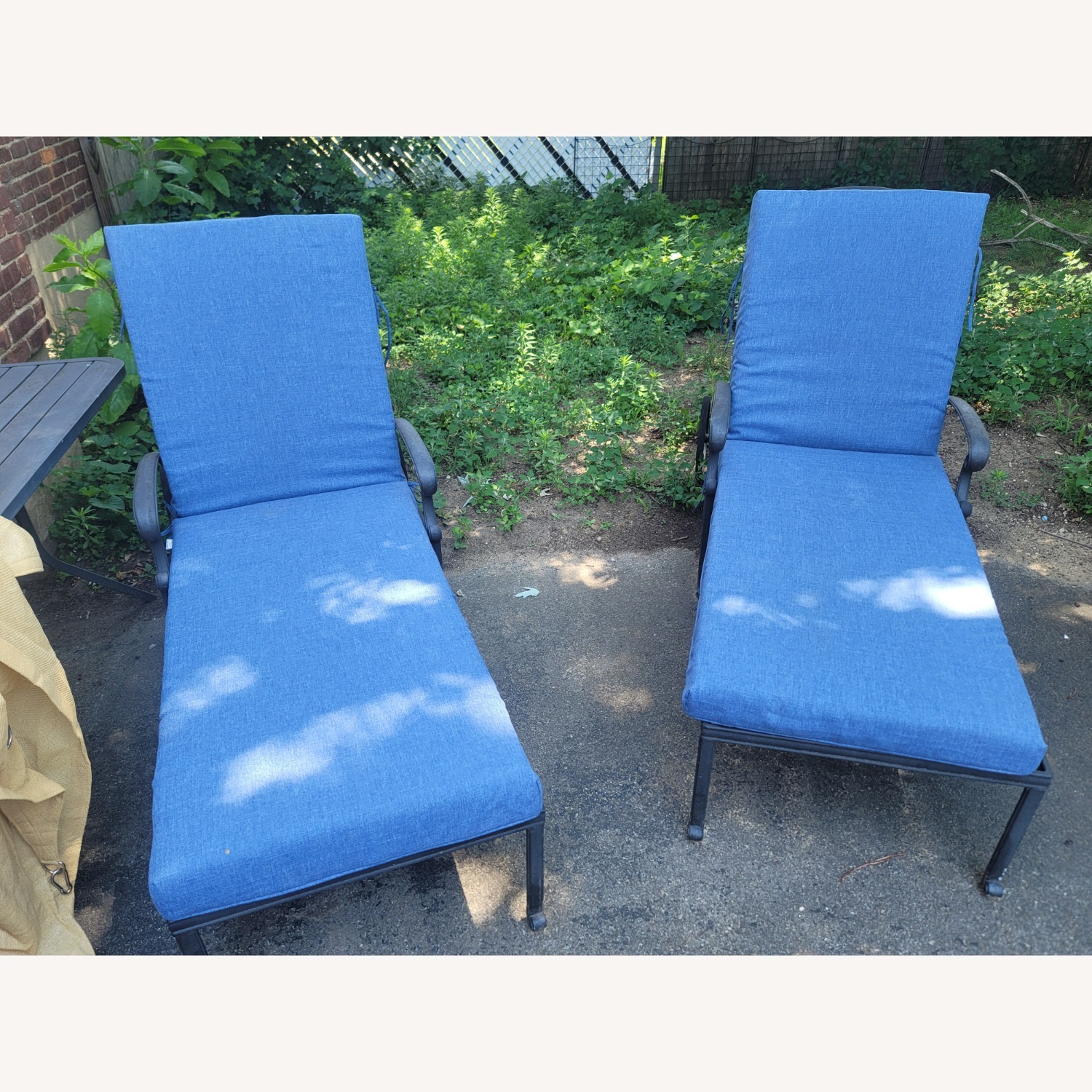 Allene Luxurious Lounges - image-2