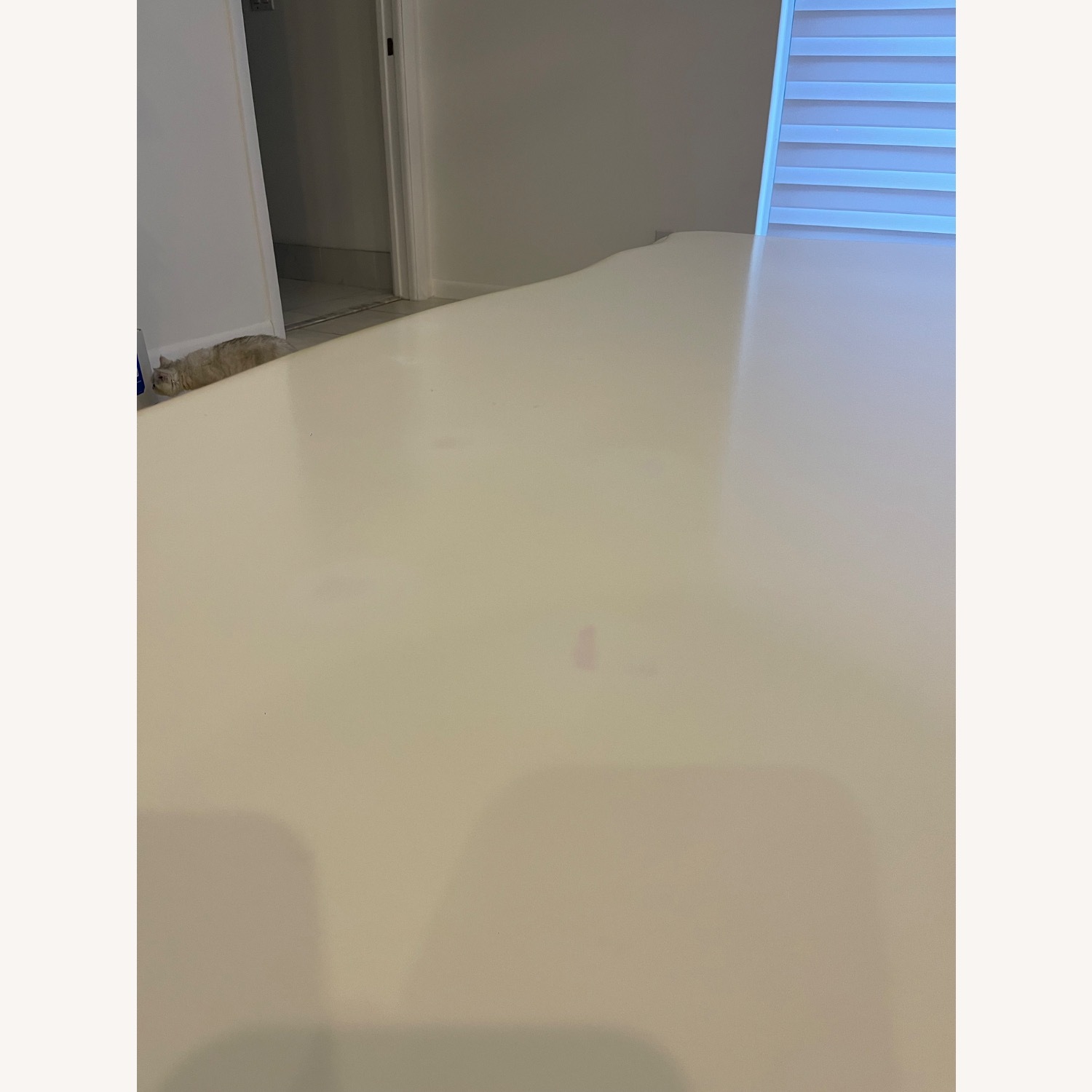 Home Depot White and Gold Rectangle Wood Coffee Table - image-4