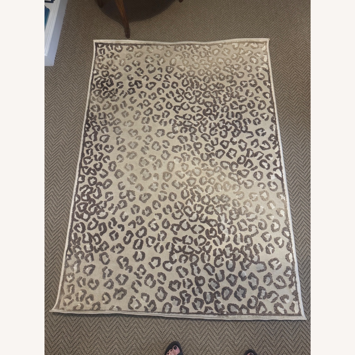 Celine Cheetah Rug 4' x 5' - image-1