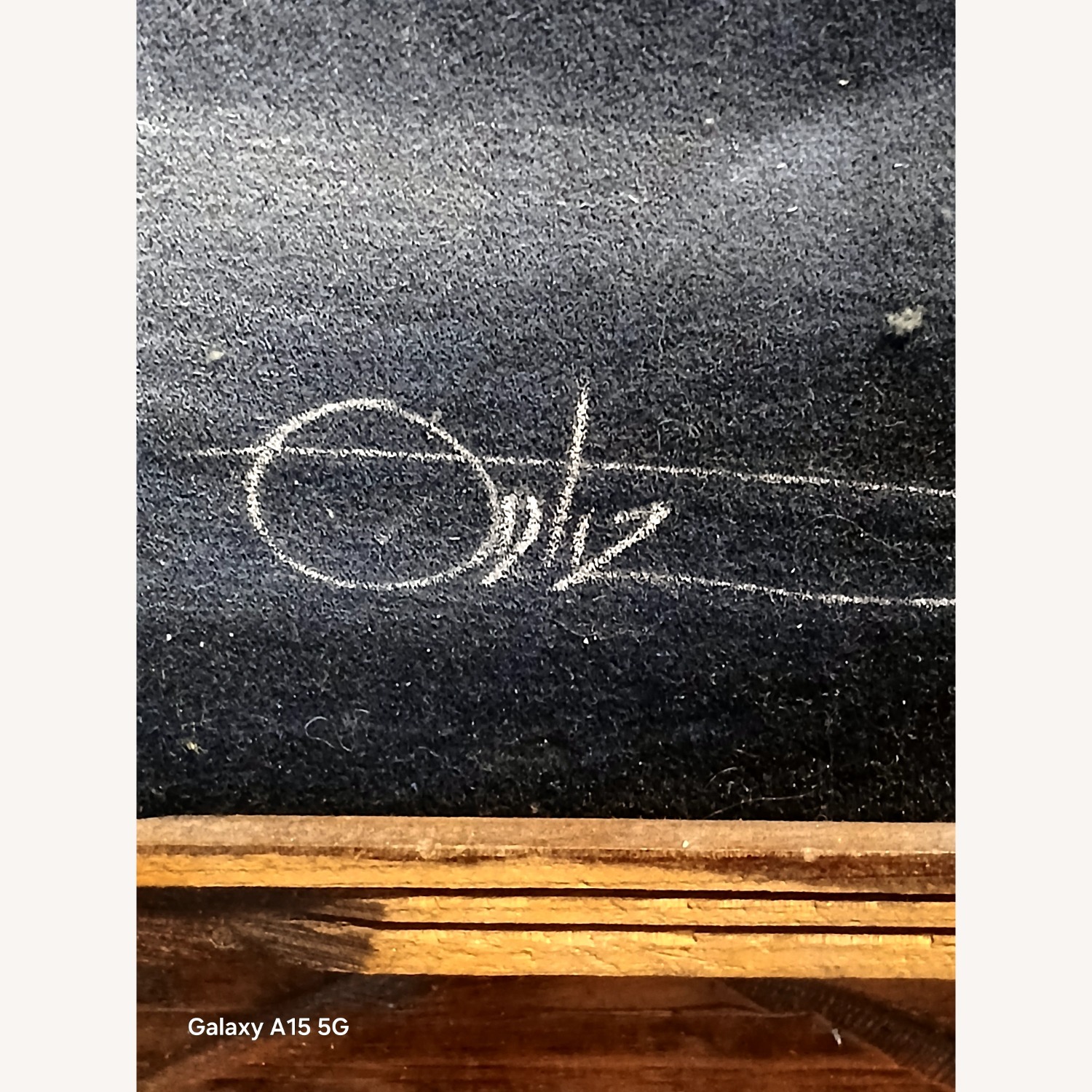 Ortiz Velvet Eagle Wall Decor - image-2