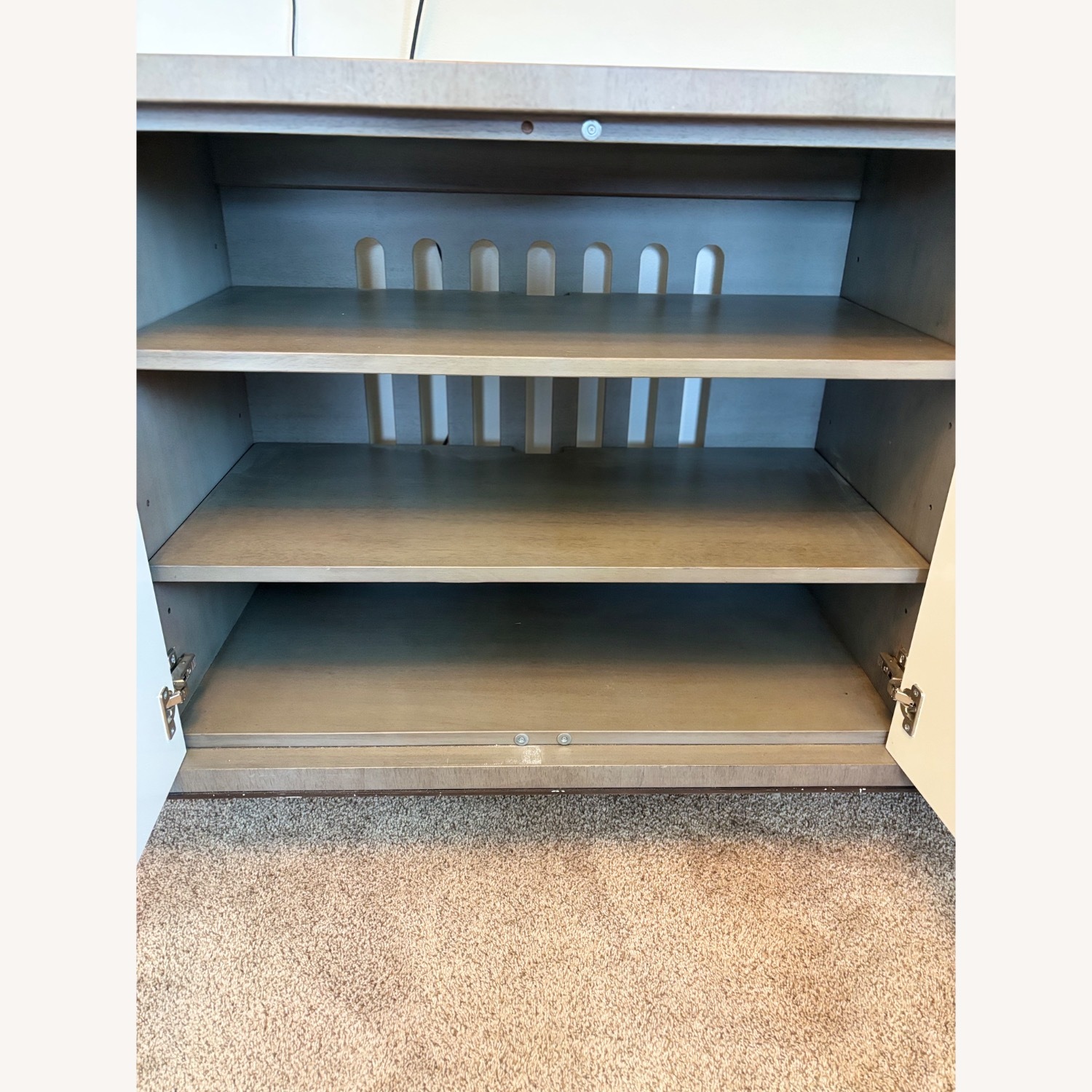 Large Media Cabinet - image-3