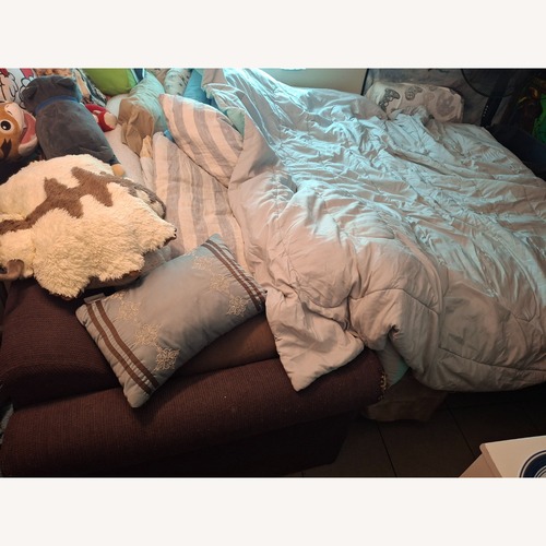 Used Pull Out Bed Queen Size for sale on AptDeco