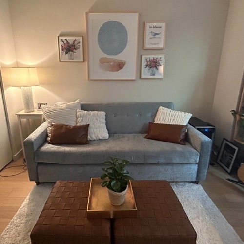 Used Joybird Korver Sleeper Sofa for sale on AptDeco