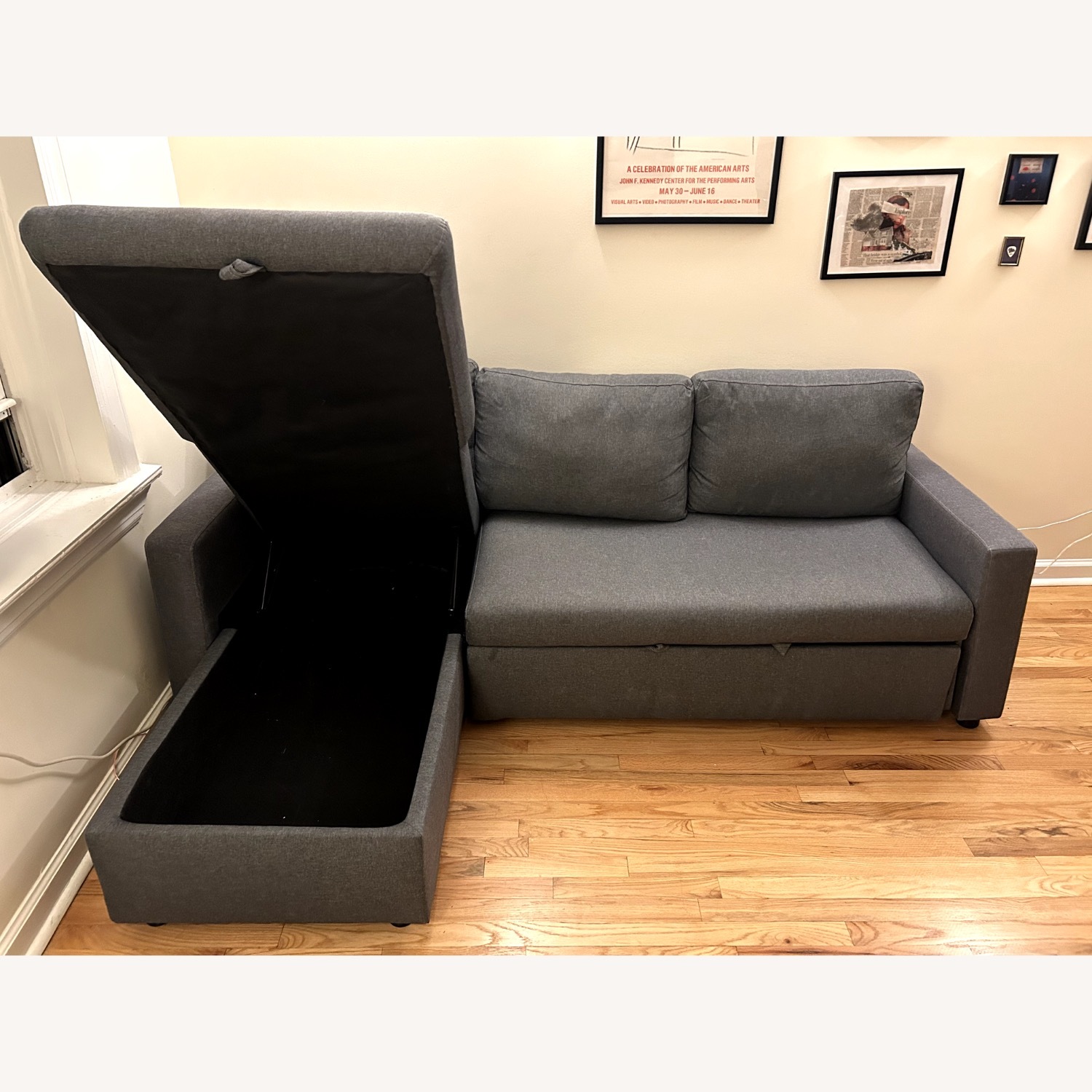 Pull-out Couch - image-2