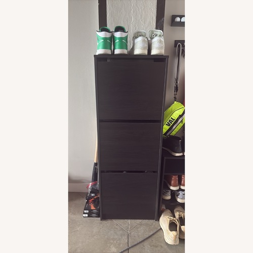 Used IKEA Bissa Modern Shoe Cabinet for sale on AptDeco