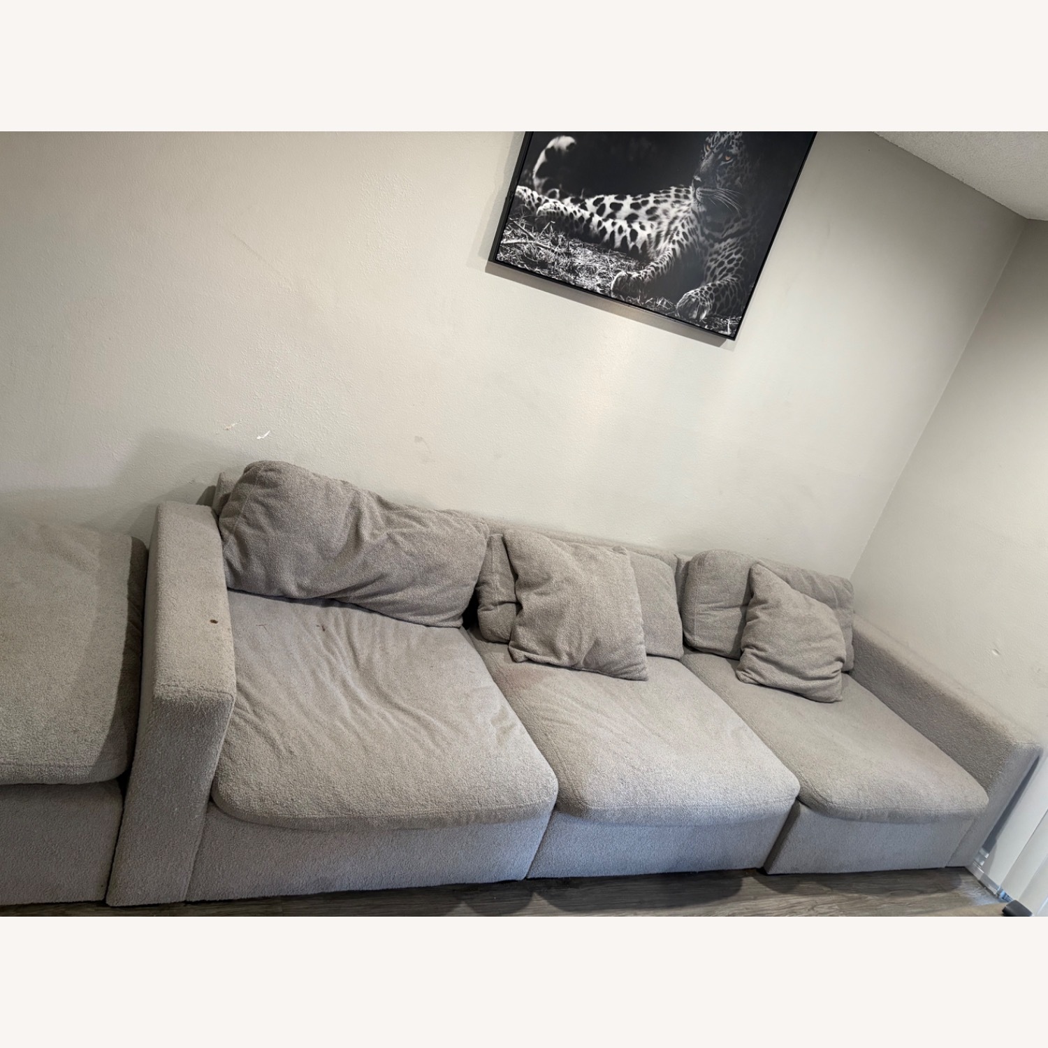 Coucg with Ottoman  - image-4