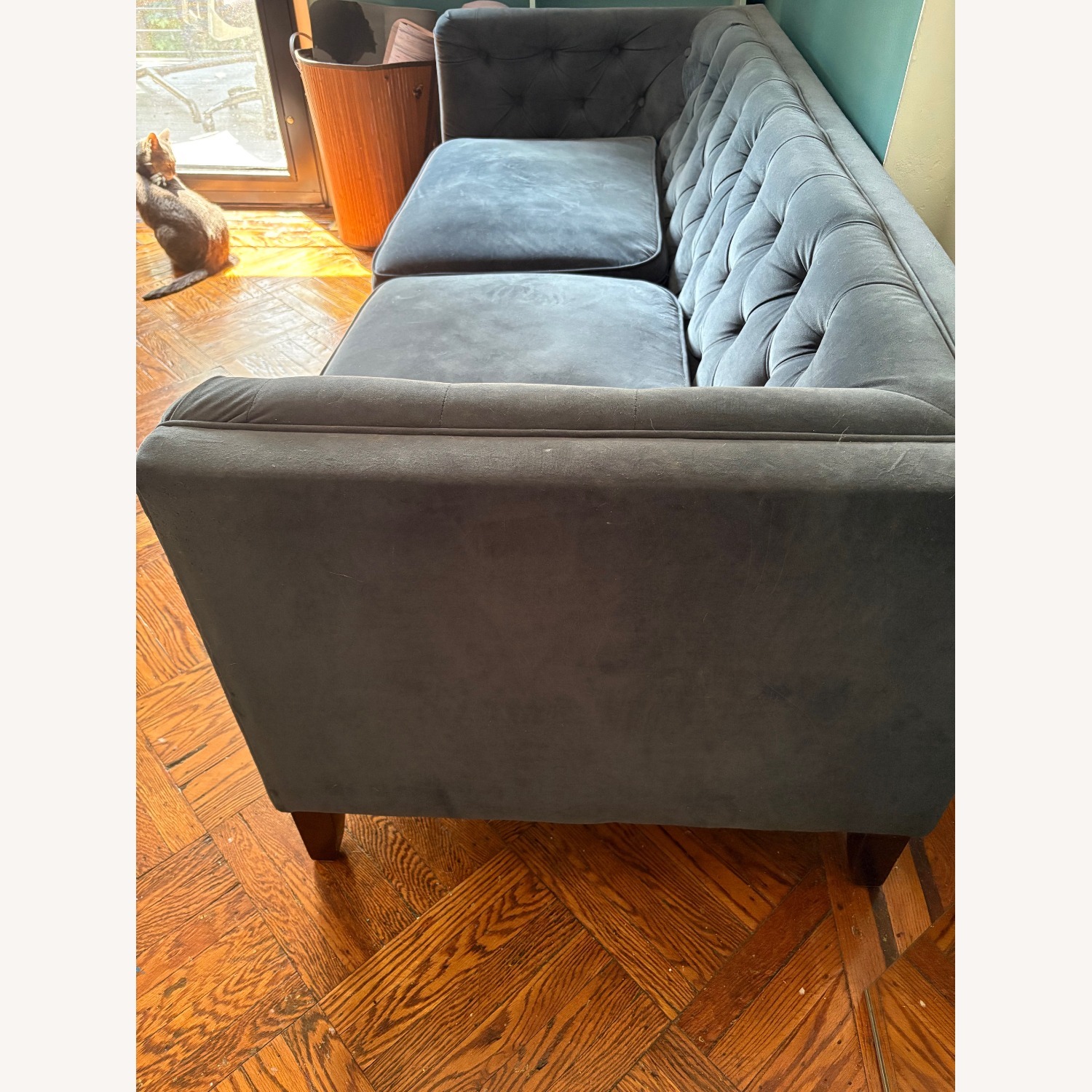 Blue Sofa  - image-4