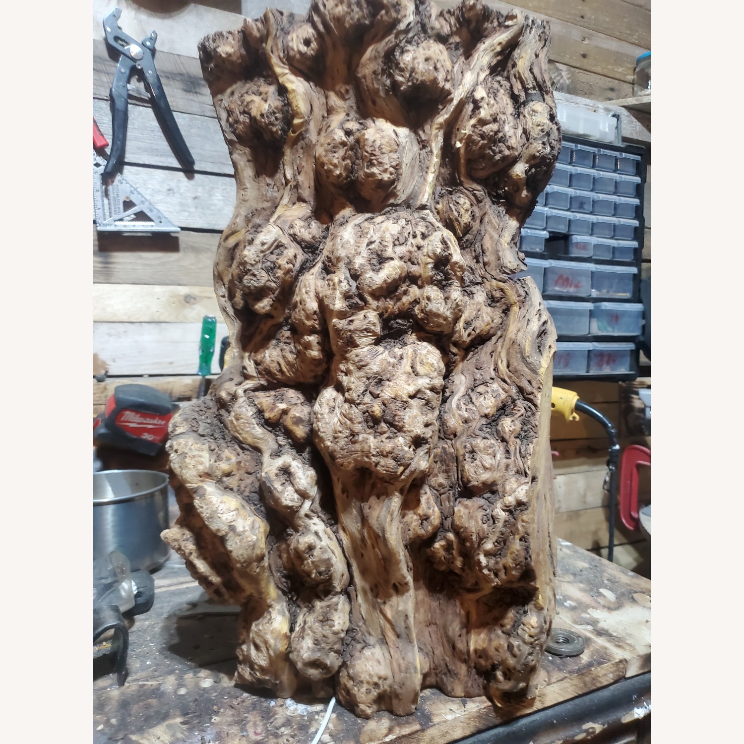 Red Sea Wood Estimated 1000yrs Old  - image-5