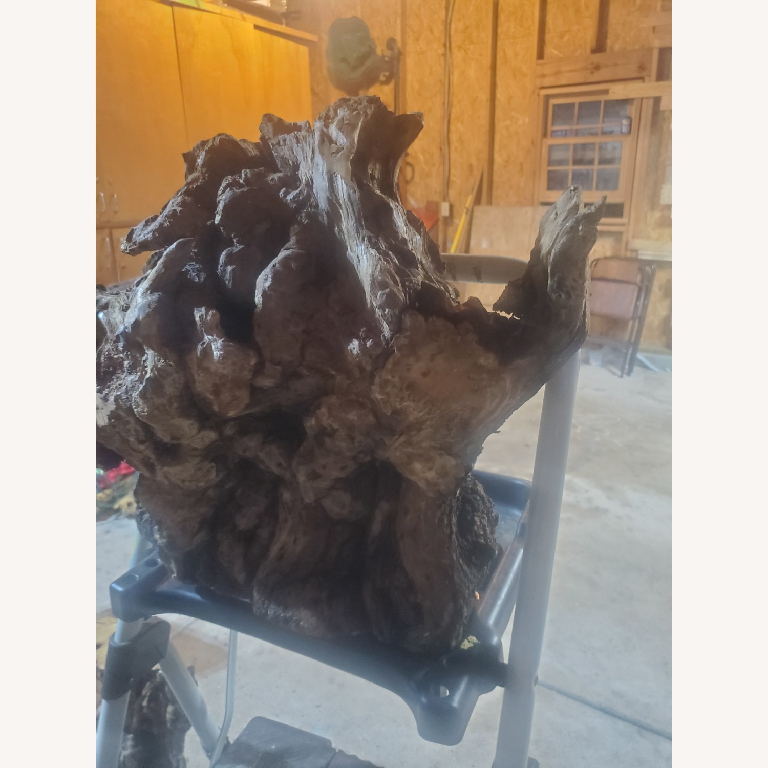 Unique Piece of Sculpture Wood  - image-4