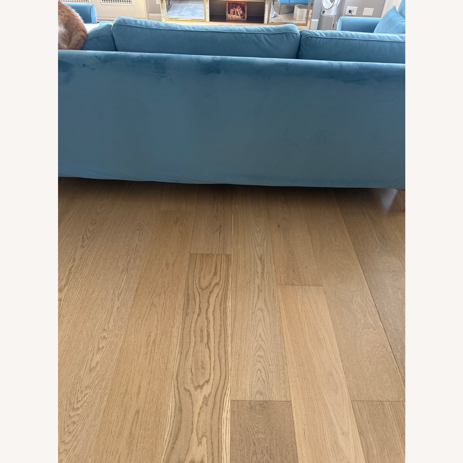 Interior Define Maxwell Sofa - image-4