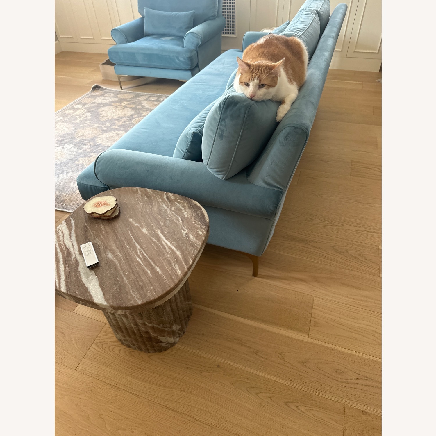 Interior Define Maxwell Sofa - image-3