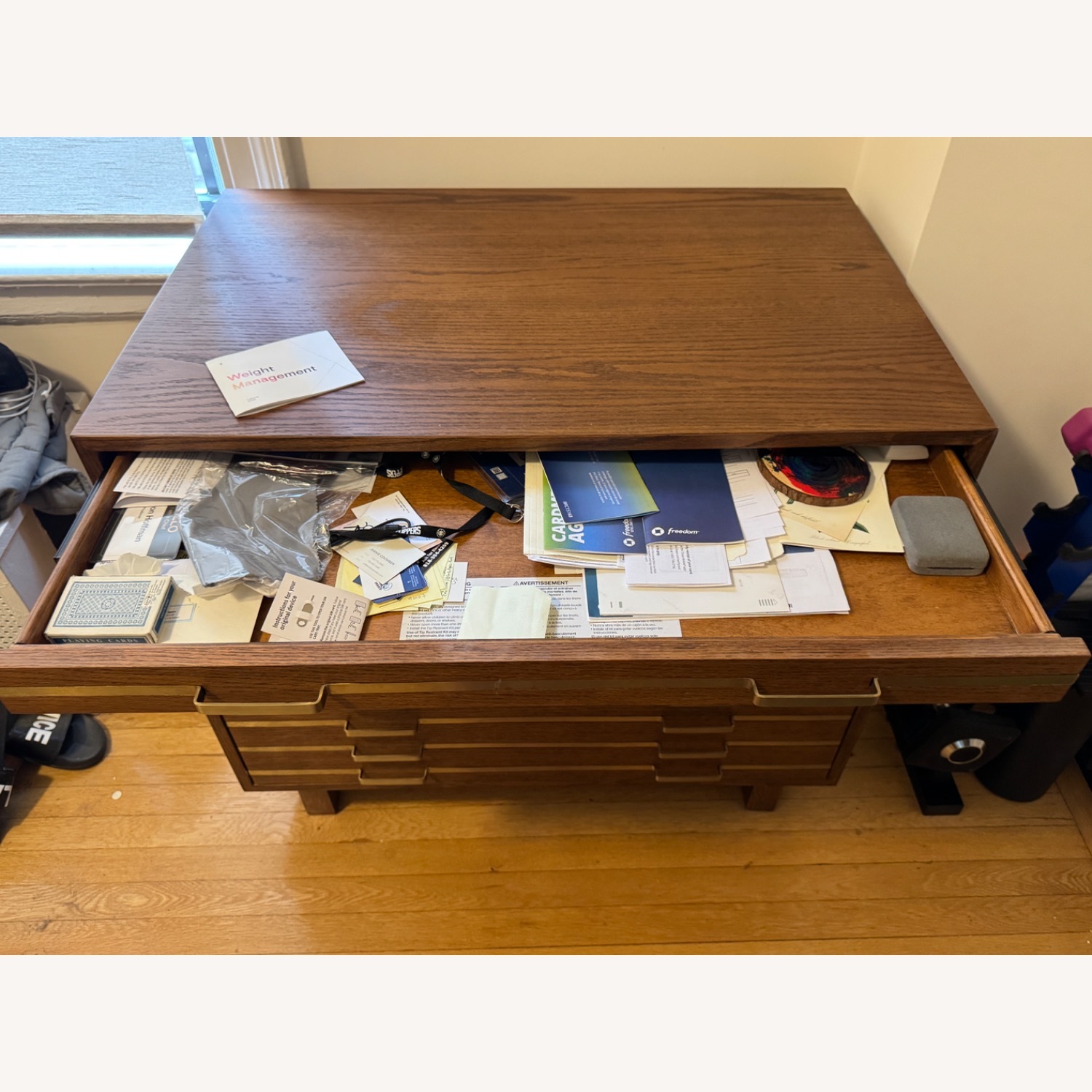 CB2 Vintage Inline Brass Filing Cabinet - image-8