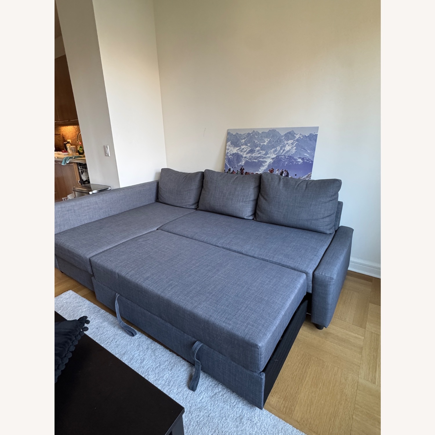 [BIMALA様] IKEA FRIHETEN  千葉県船橋市直引取り限定 Ikea Friheten Sleeper Sofa - AptDeco