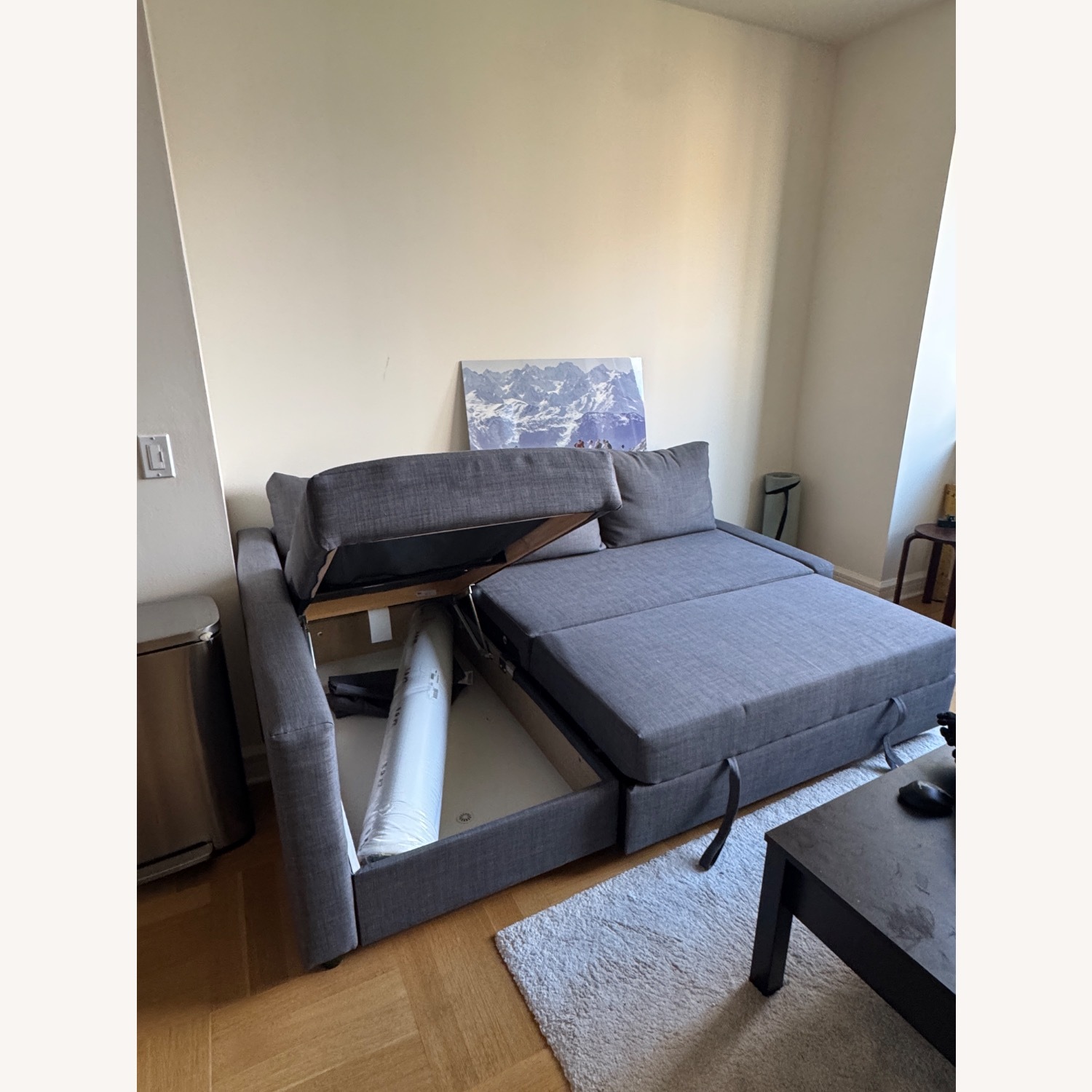 IKEA FRIHETEN Sleeper & Storage Sectional - image-3