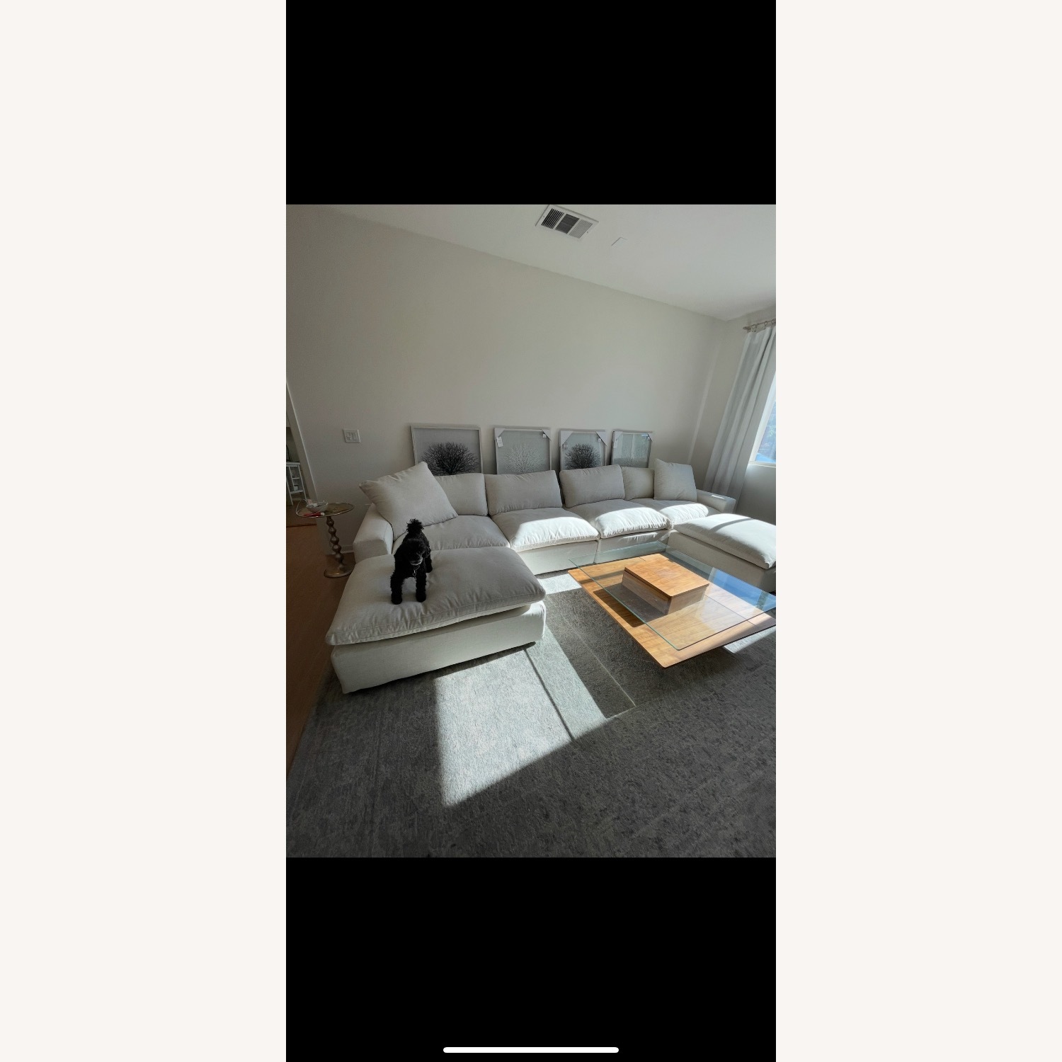 Living Spaces Utopia Cloud Modular 3 Piece Sectional - image-4