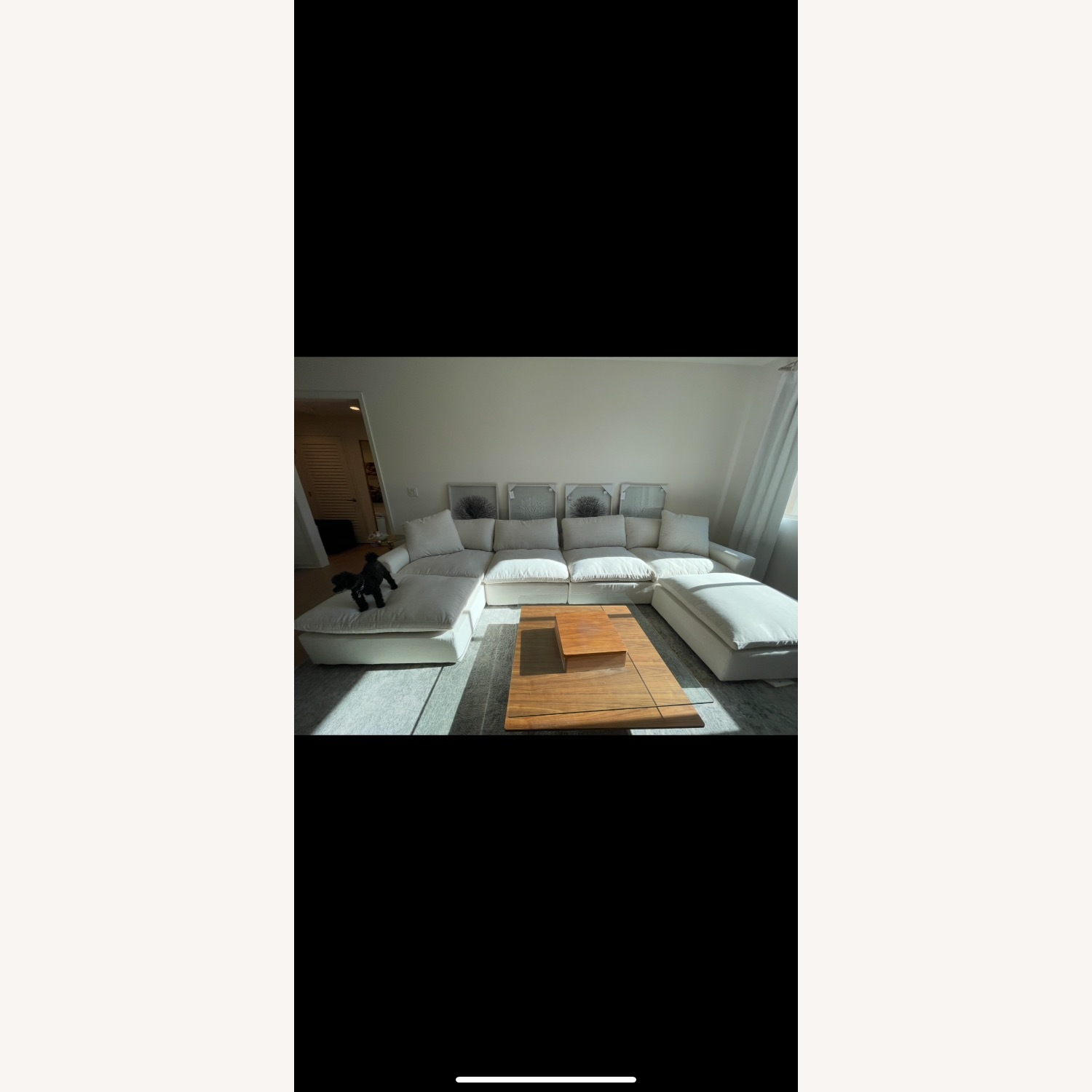 Living Spaces Utopia Cloud Modular 3 Piece Sectional - image-2