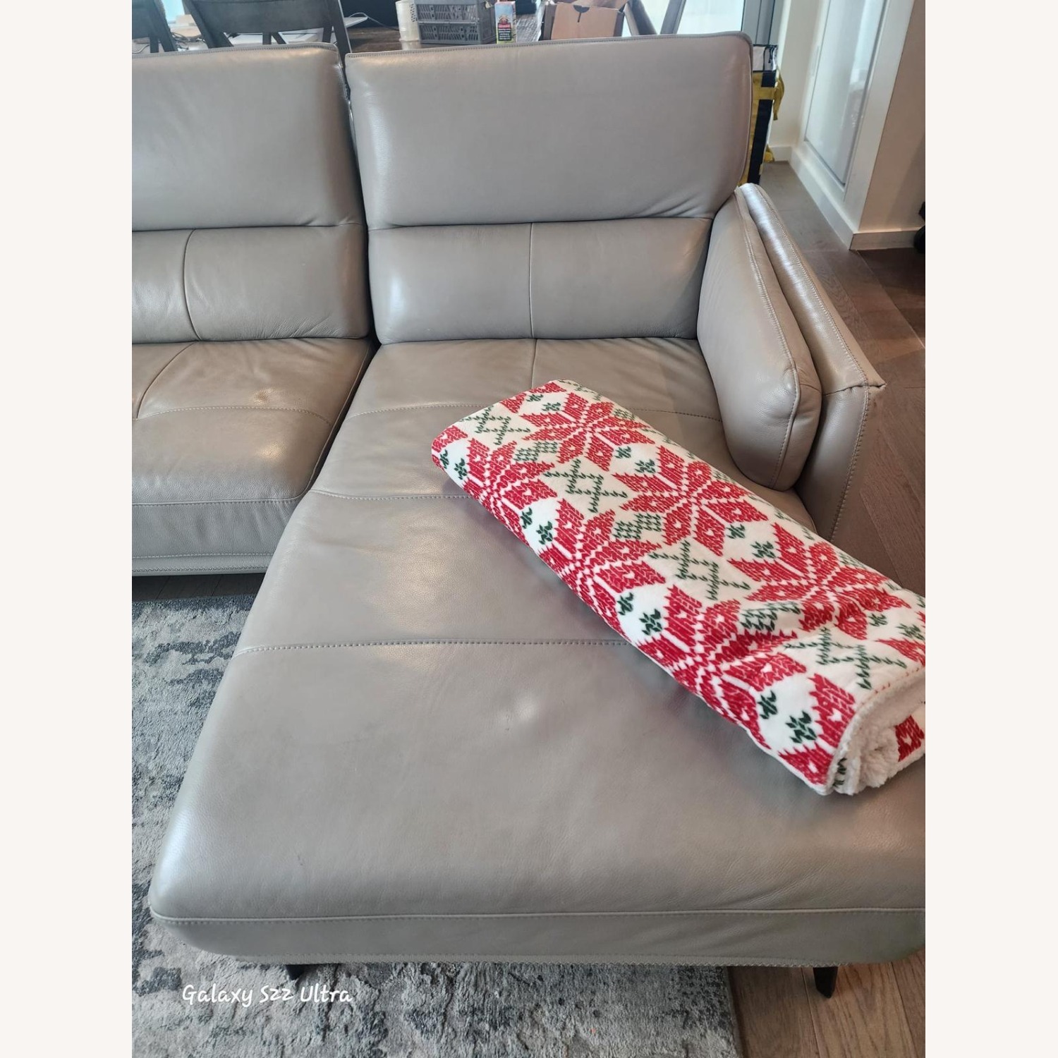 Gray Leather Sectional with Chaise - image-5