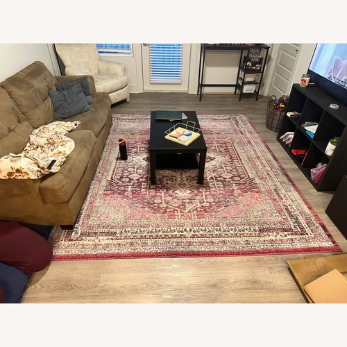 Used Area Rug for sale on AptDeco